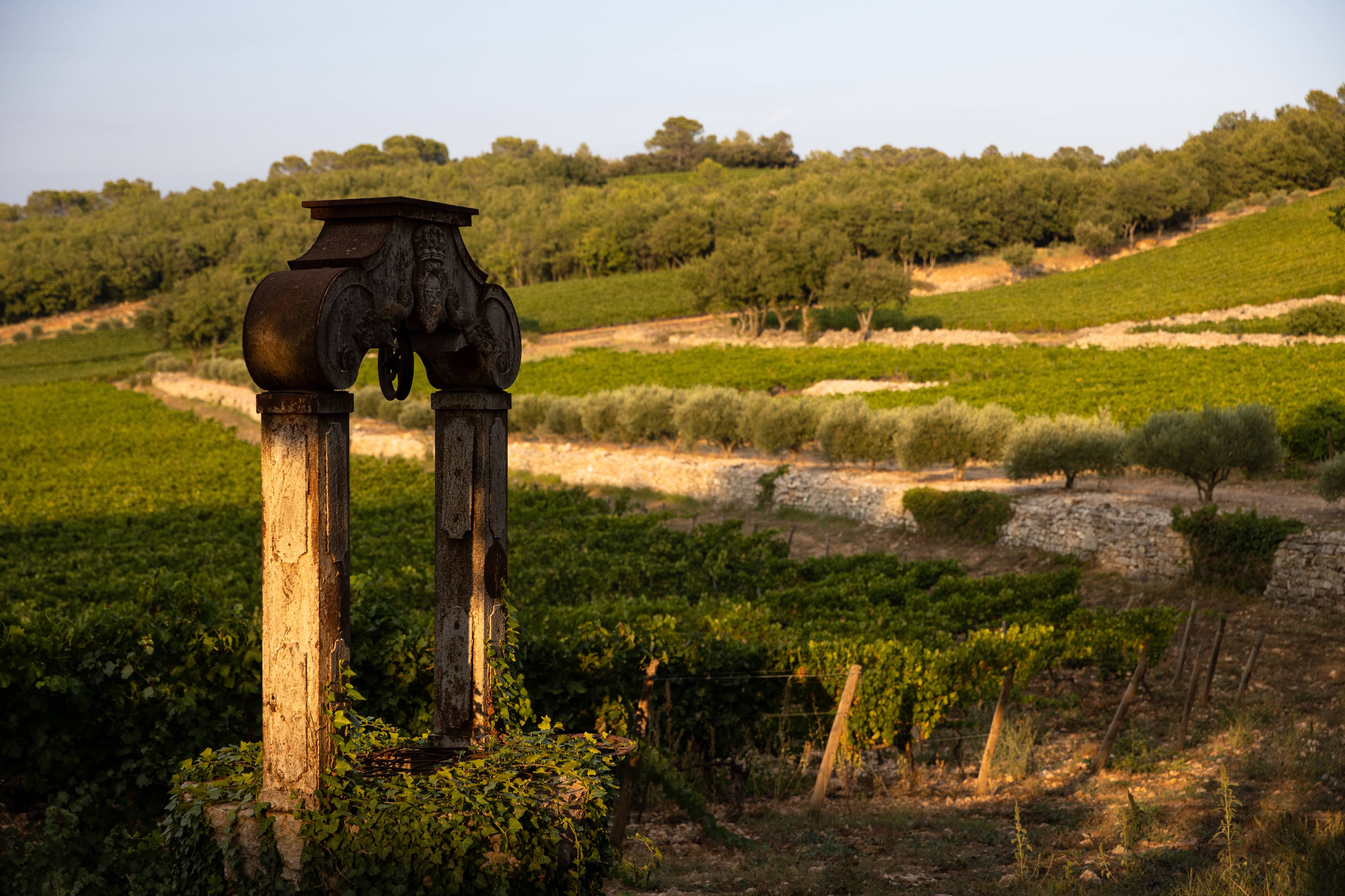 The essence of La Mascaronne