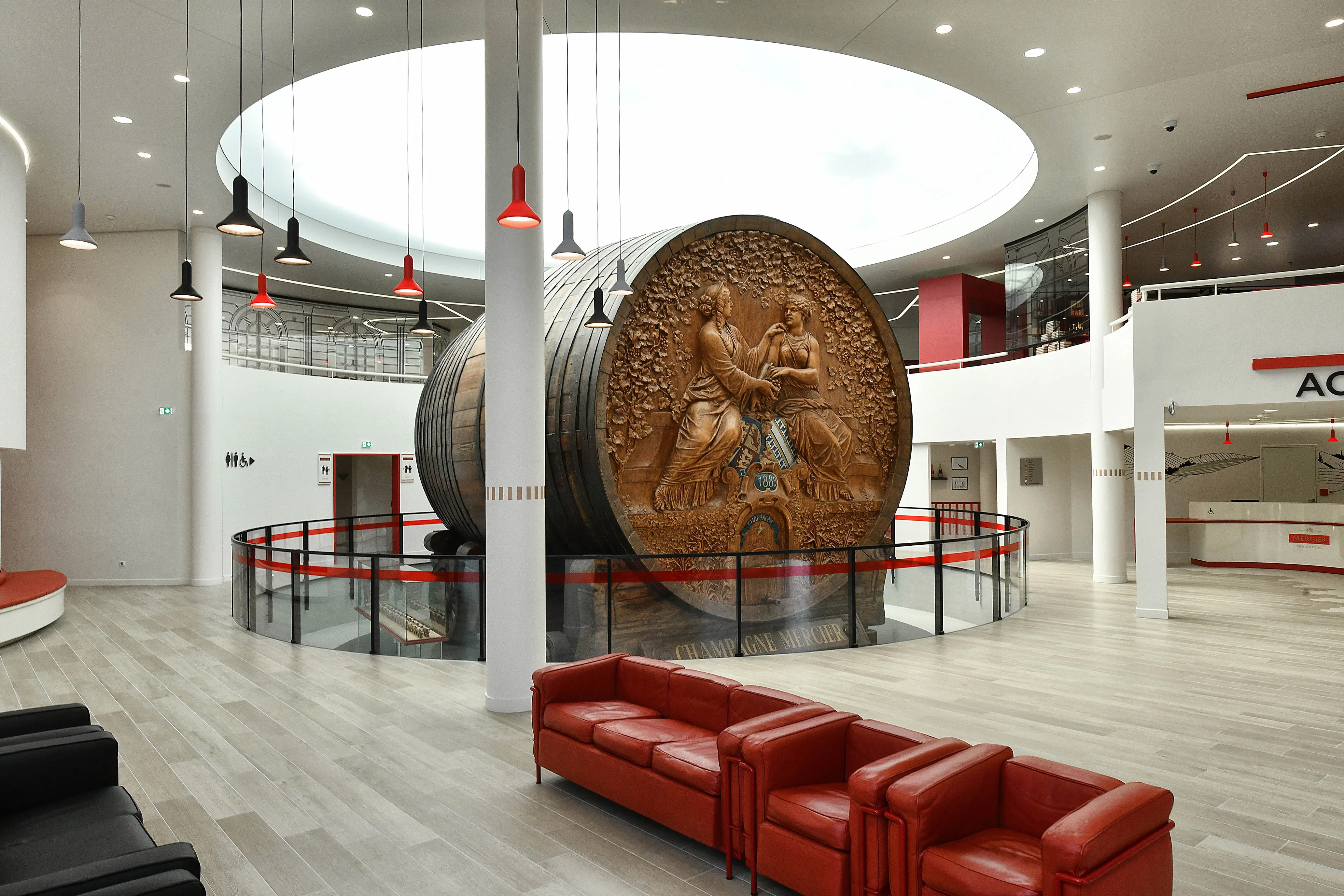 Exploring the vineyard