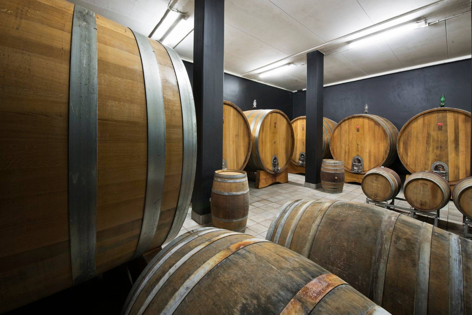 Bussia Coast Experience