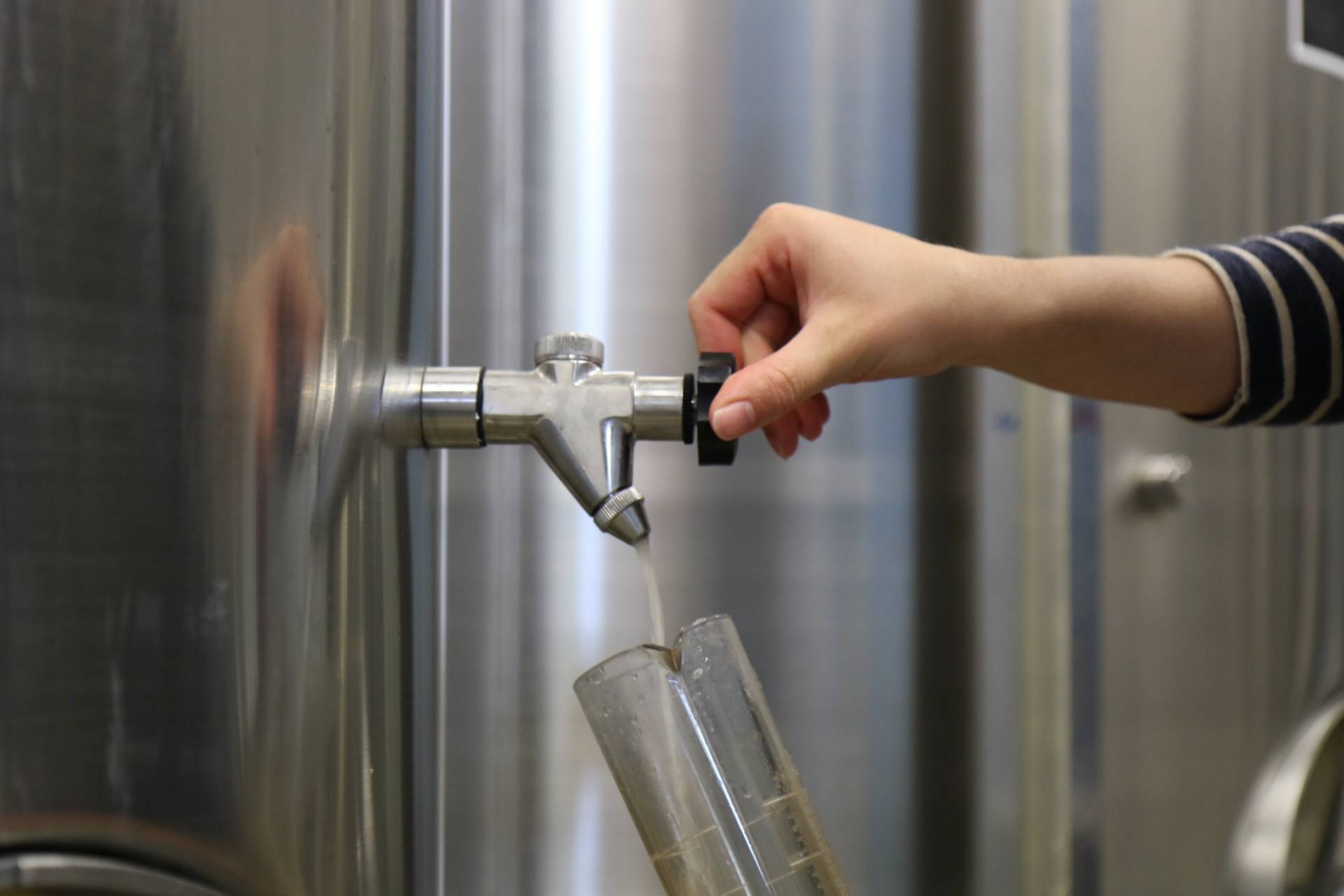 Cellar Master for a Day: The Art of Blending