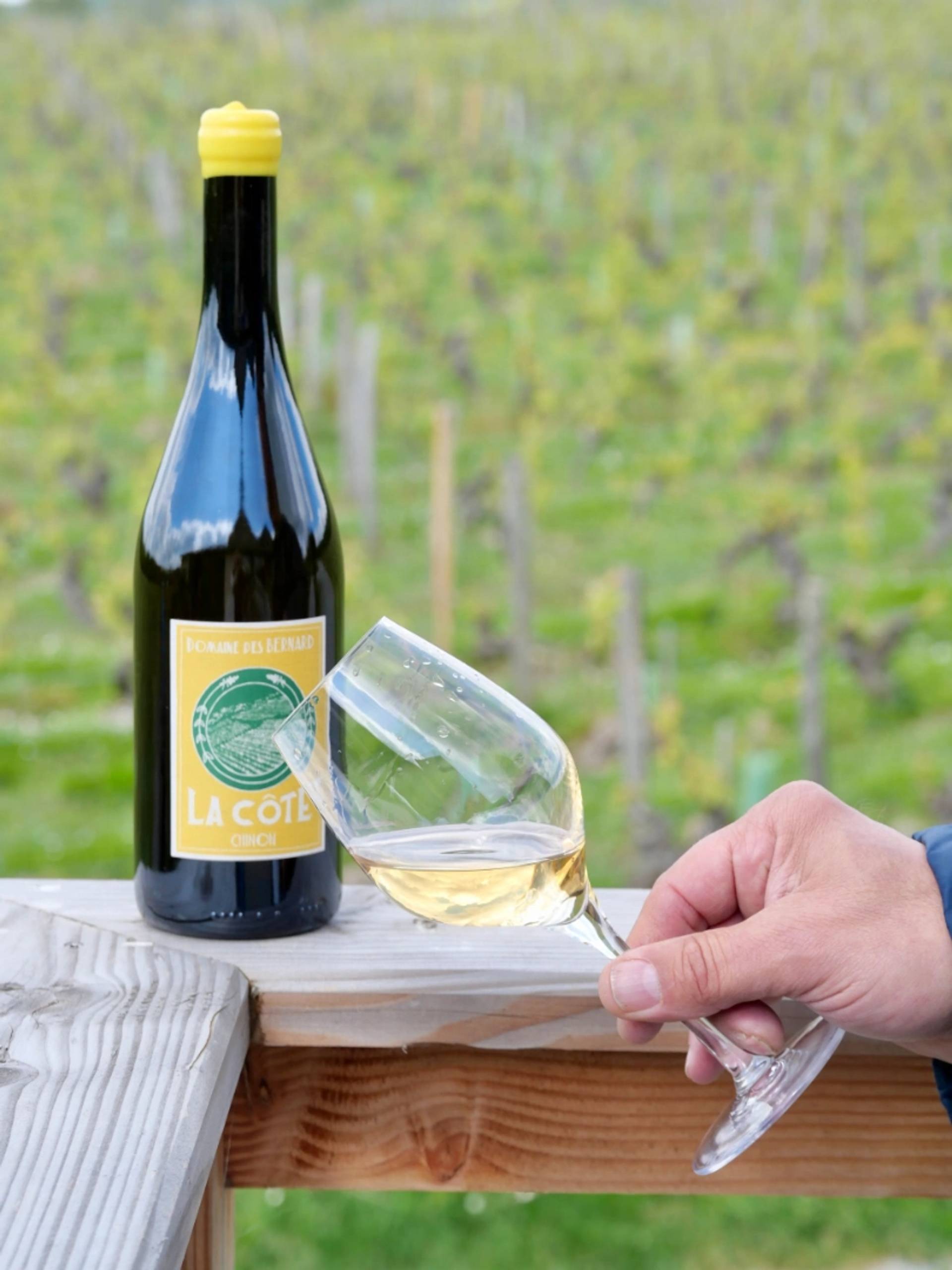 Tasting at Domaine des Bernard