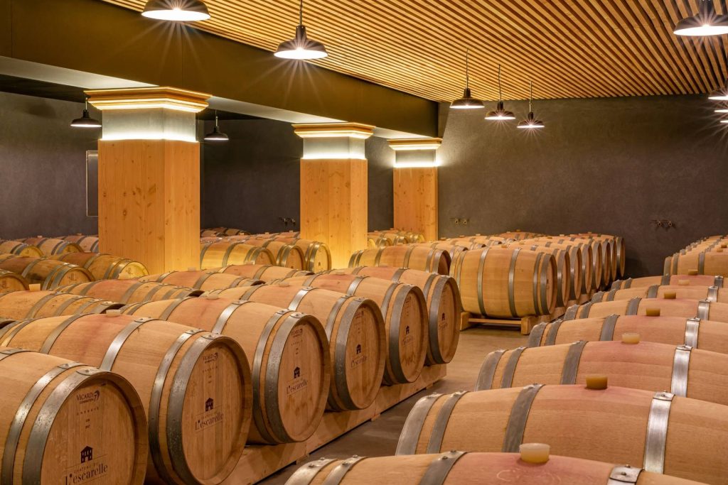 Visit one of the most modern cellars!