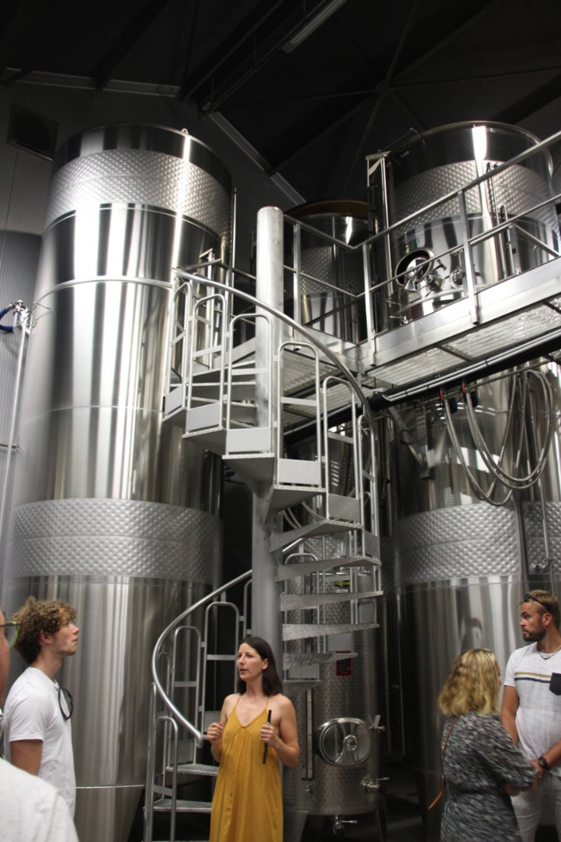 Cellar visit and tasting