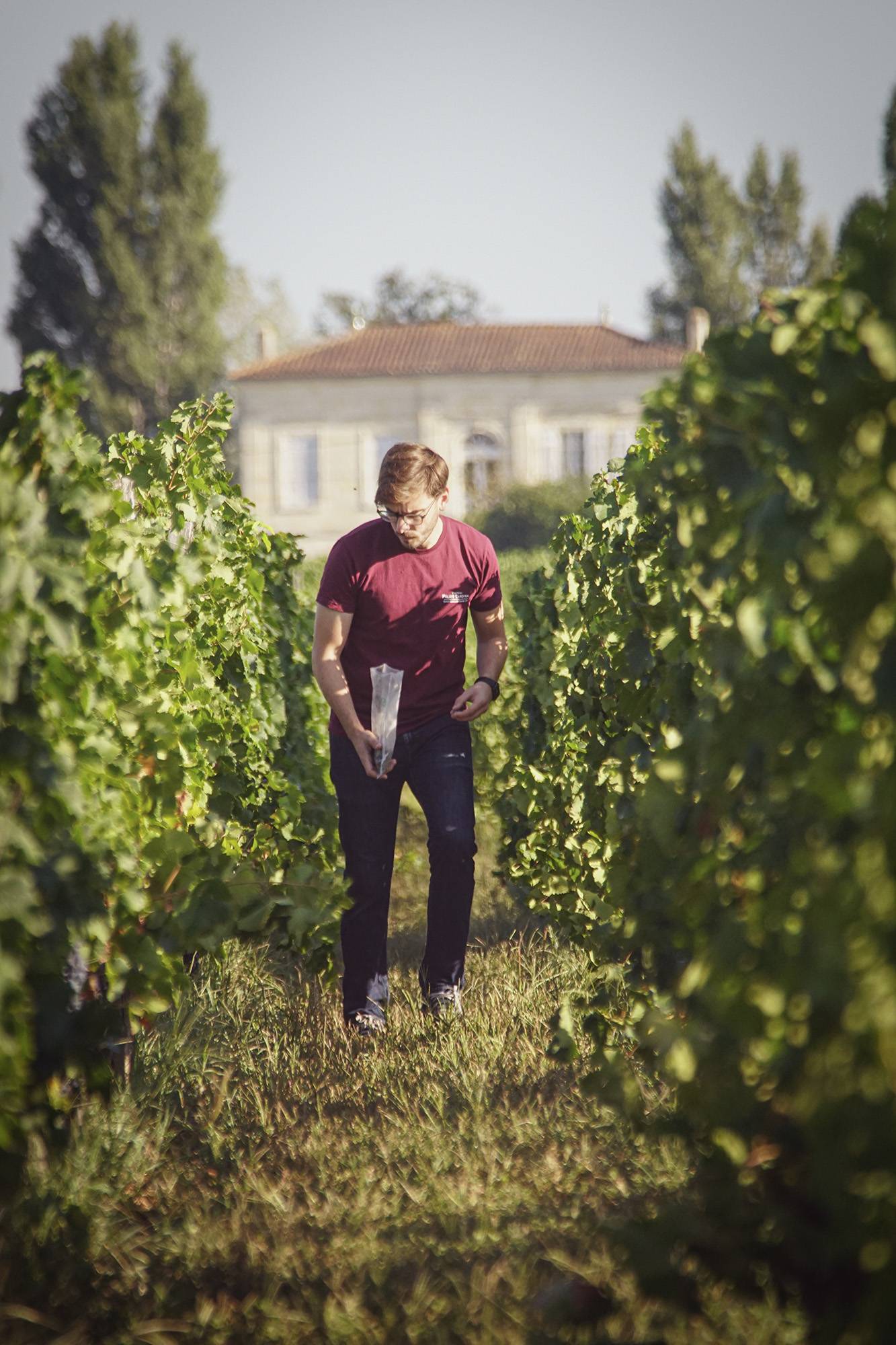 The Grand Tasting with platter – 6 wines