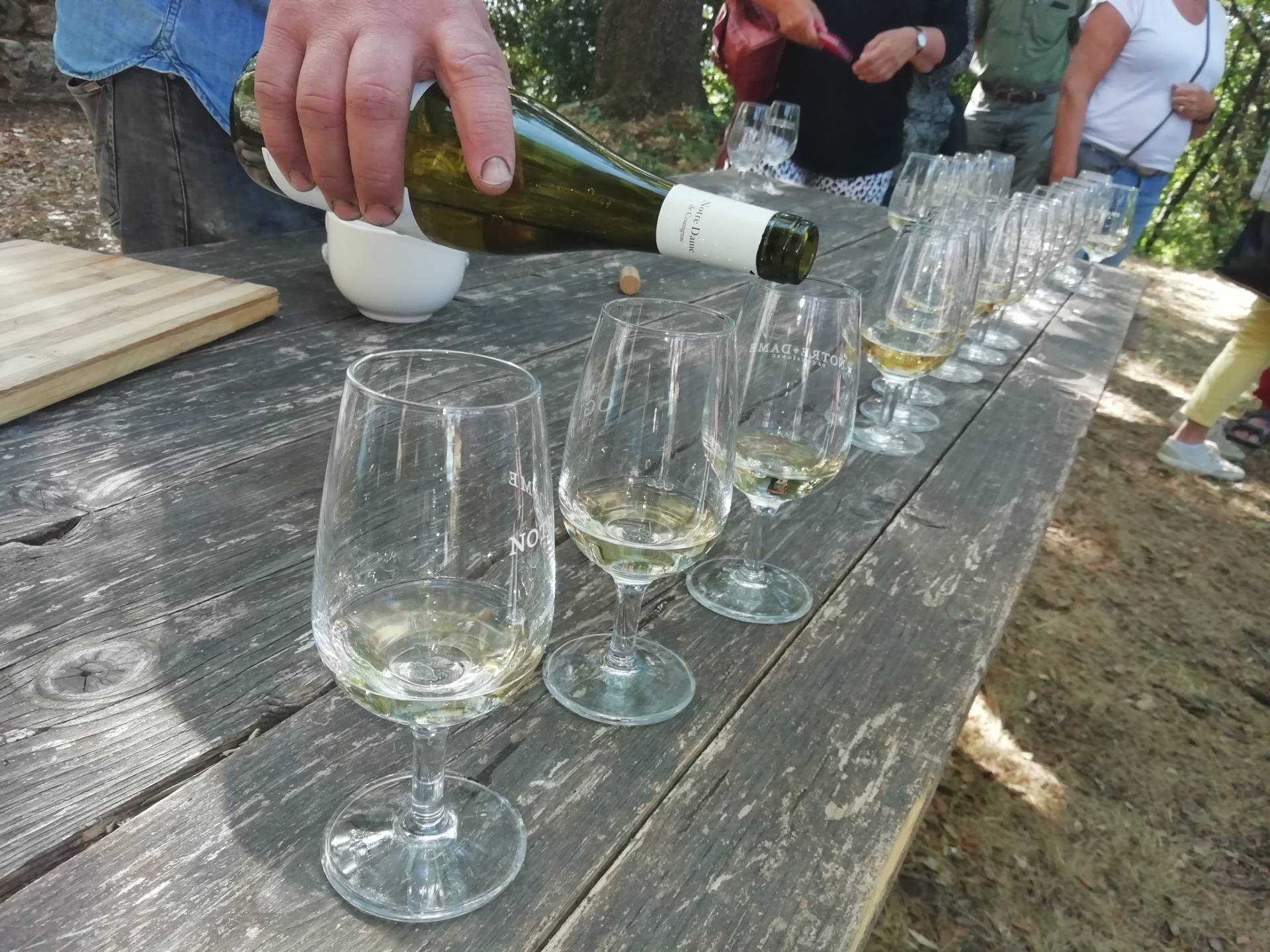 Tasting “Discovering our Plots”