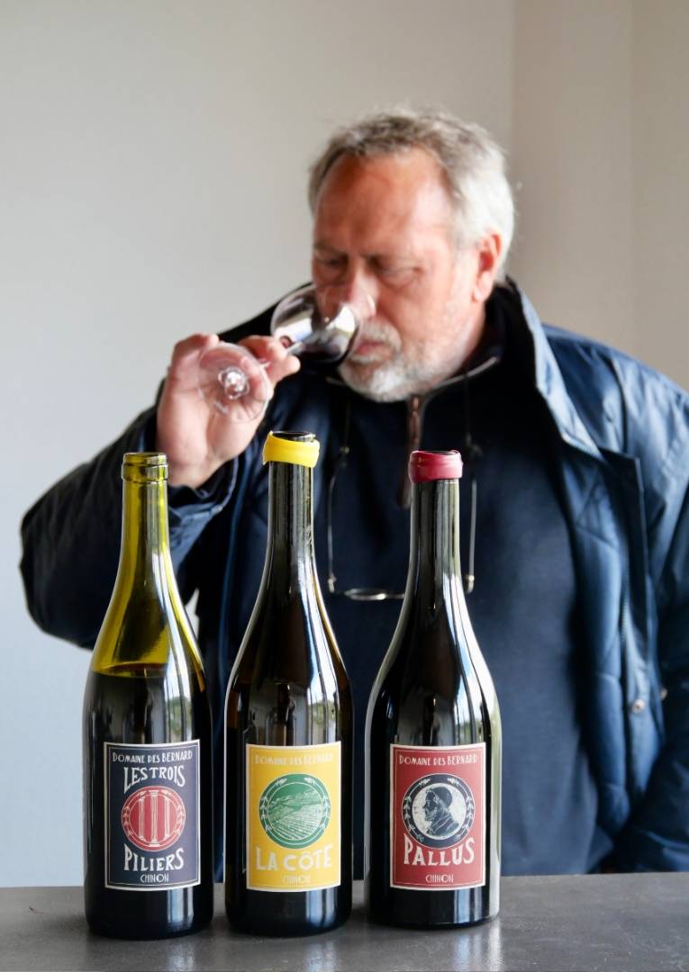 Discovering Domaine des Bernard