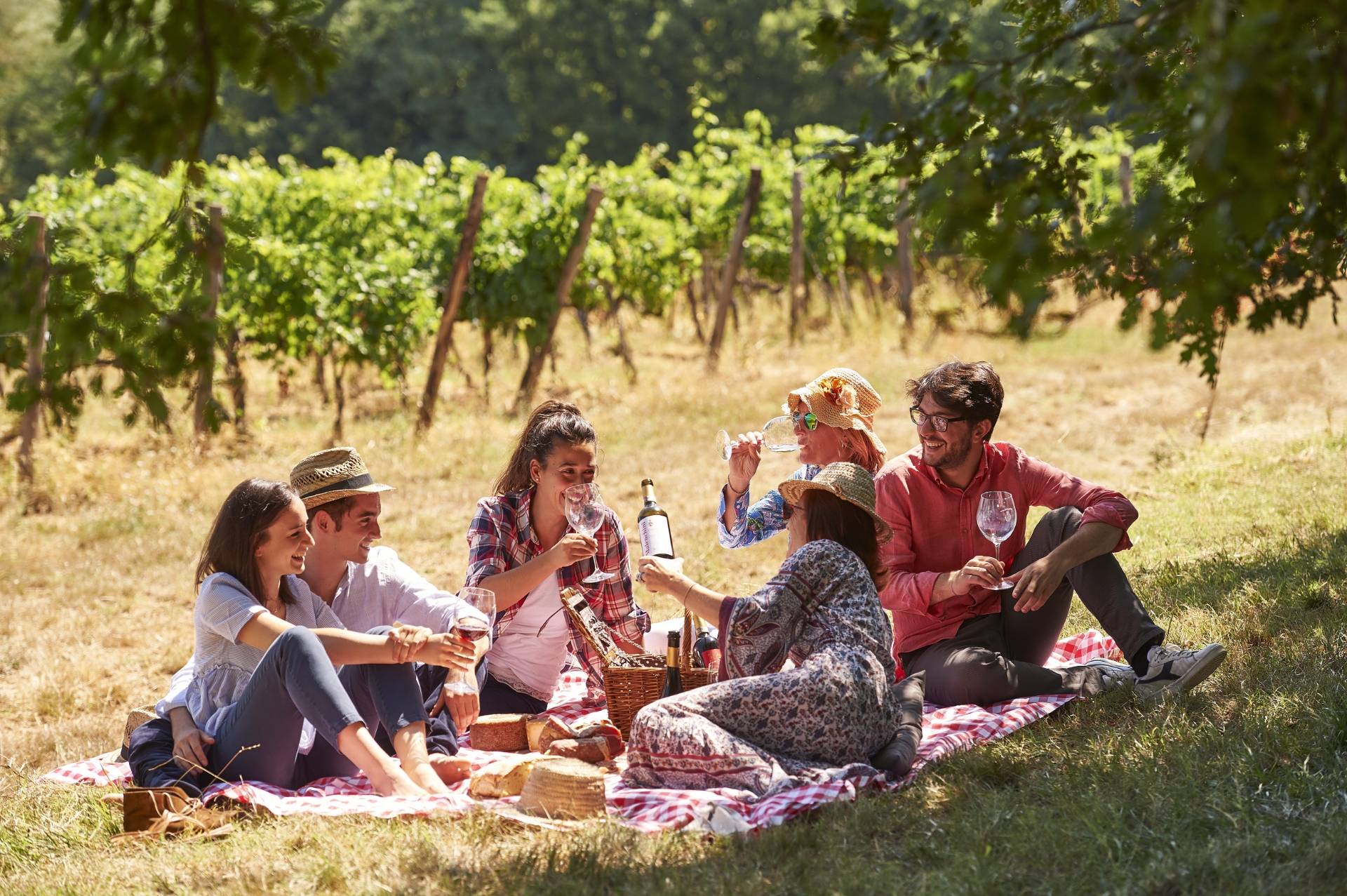 Picnic in the vineyard in the hills of Florence