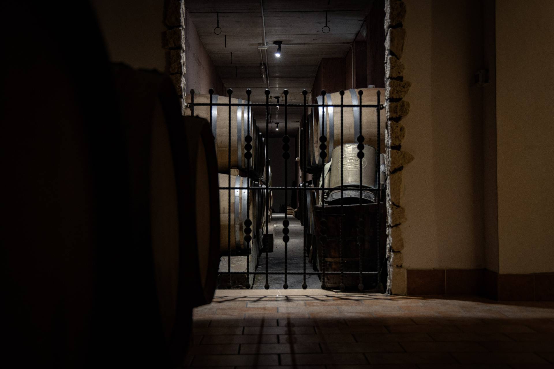 Amarone Experience, meet the Vogadori family
