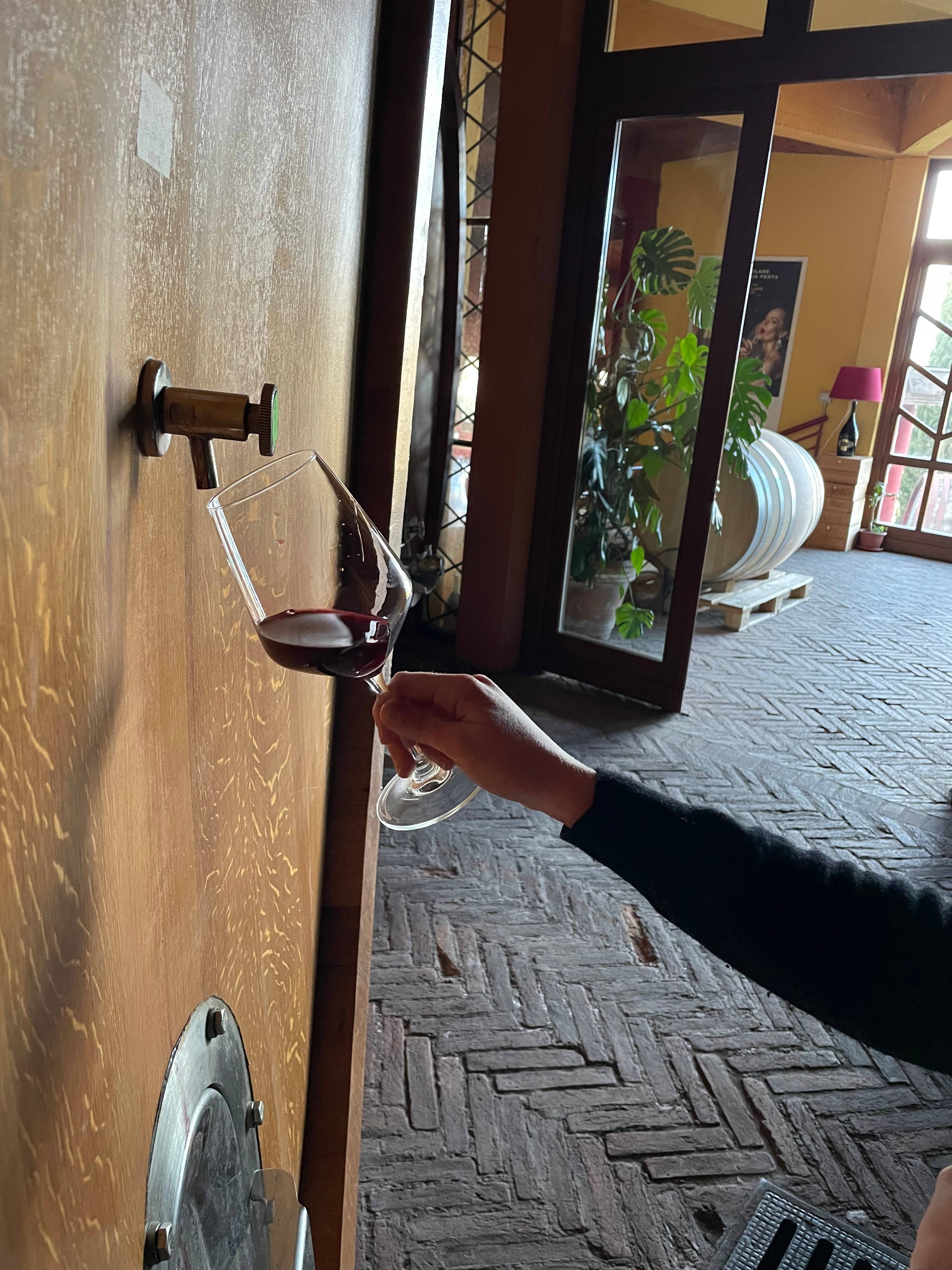 A day as a winemaker