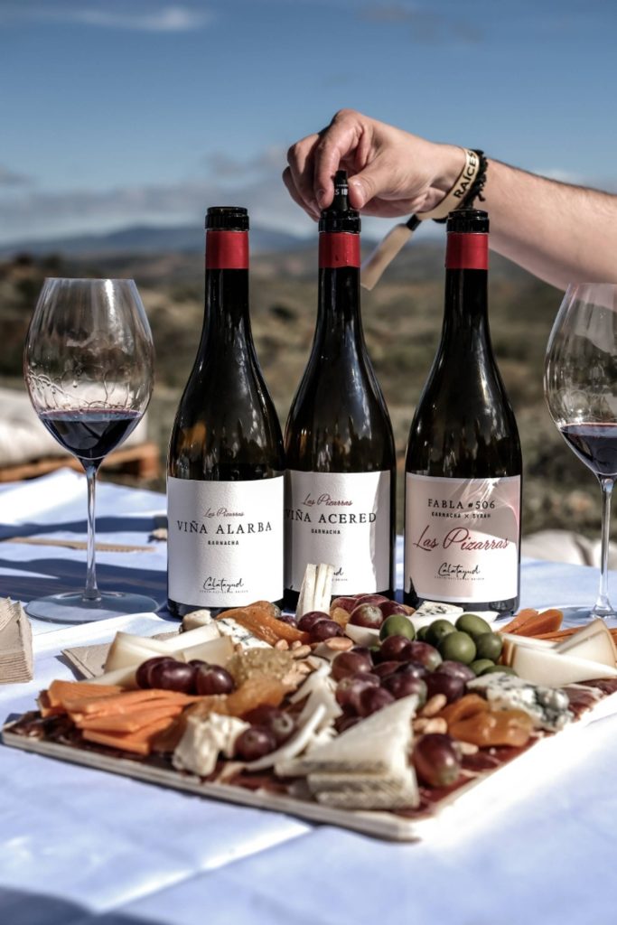 Premium Experience: Discover Iberian Roots