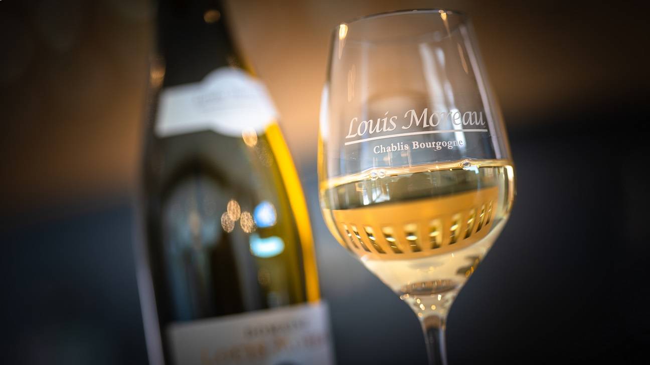 Wine tasting of 4 Chablis wines for groups with local gougères