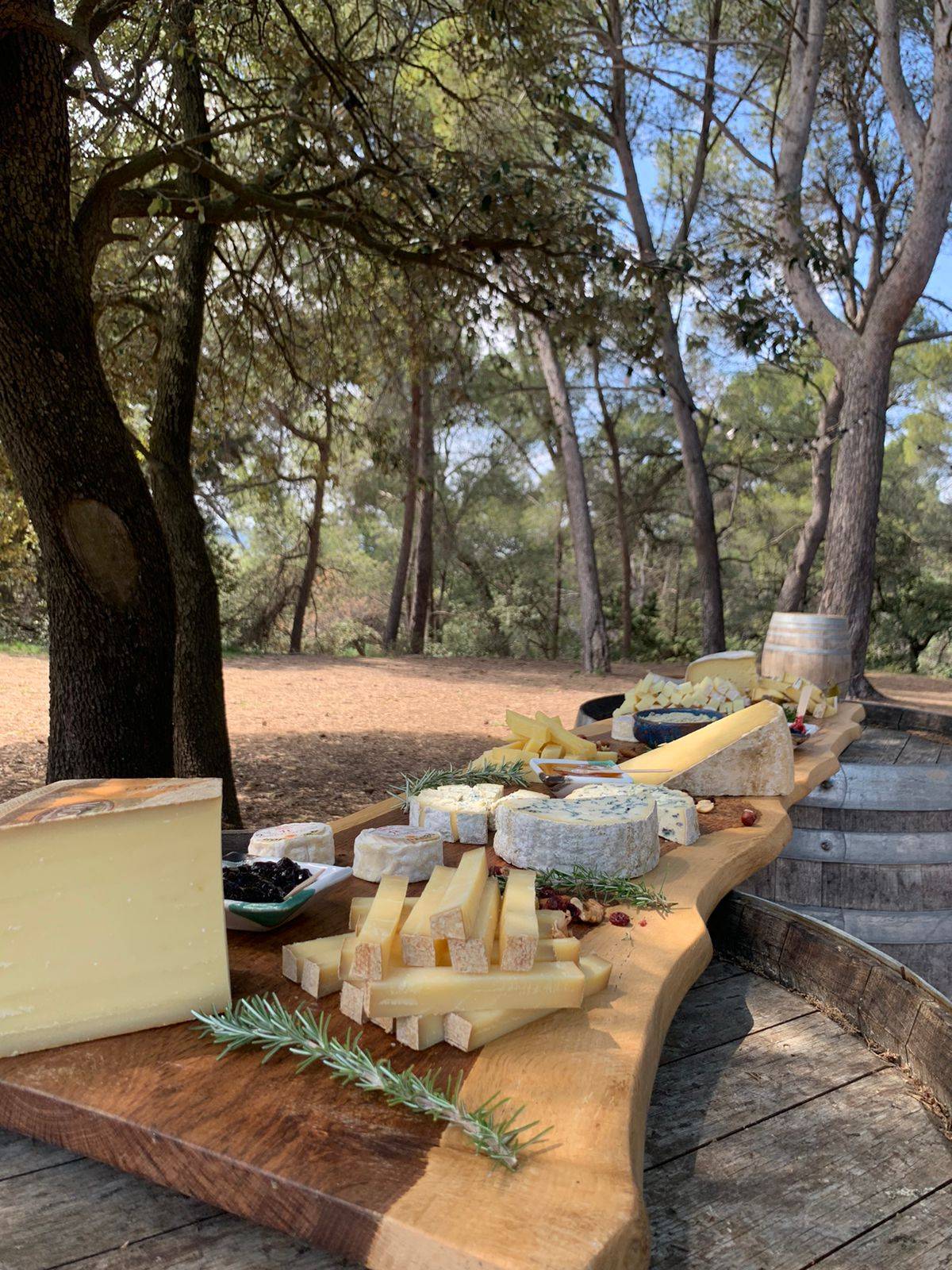 Tasting & cheese/charcuterie board