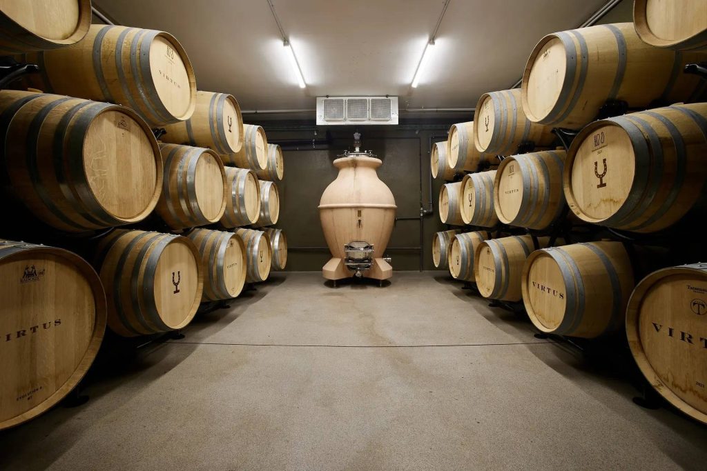 Private visit to Bodegas Virtus