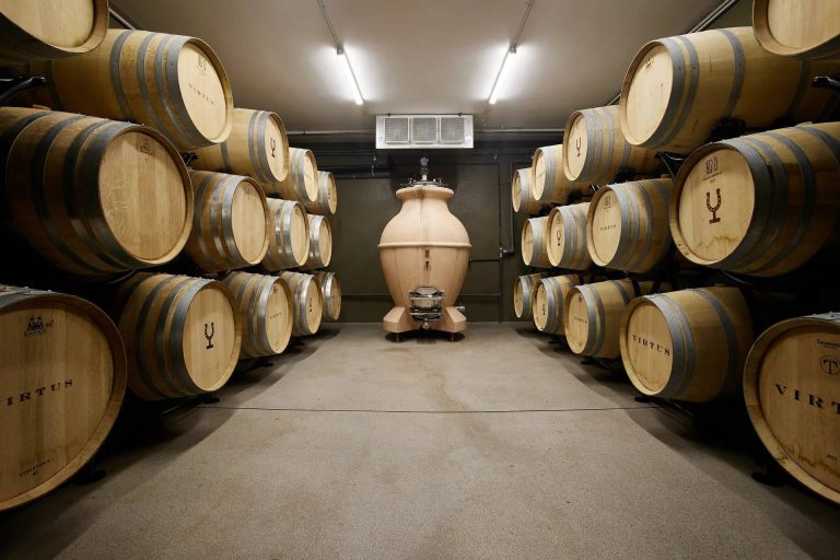 Private visit to Bodegas Virtus