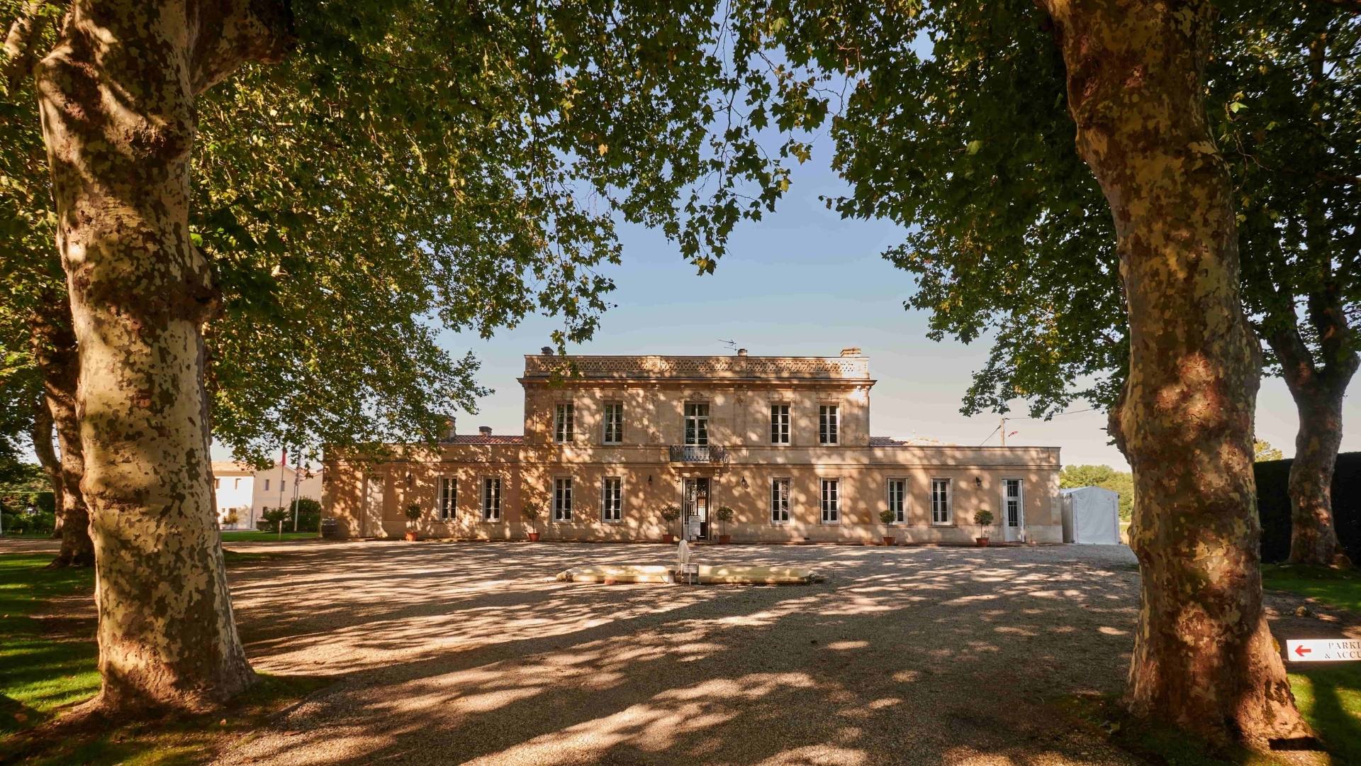 Visit of the estate with wine tasting