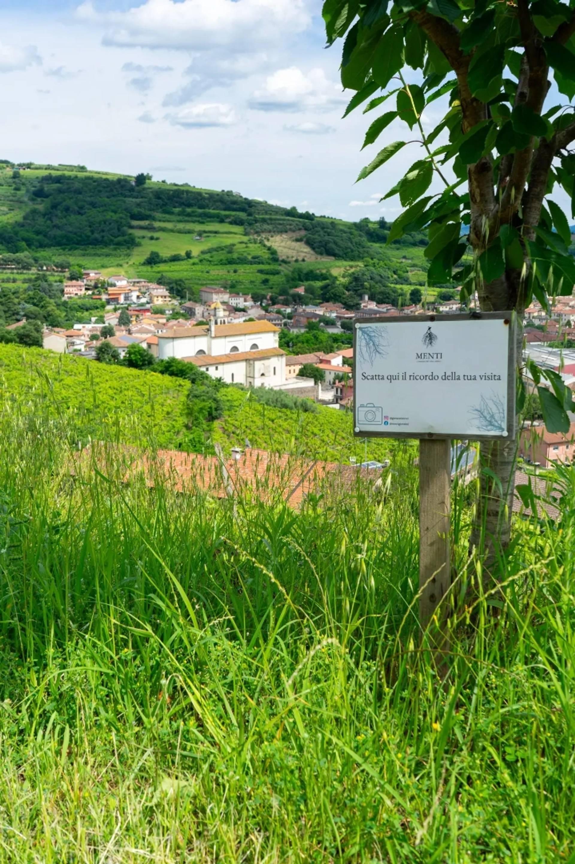 Full Range Experience