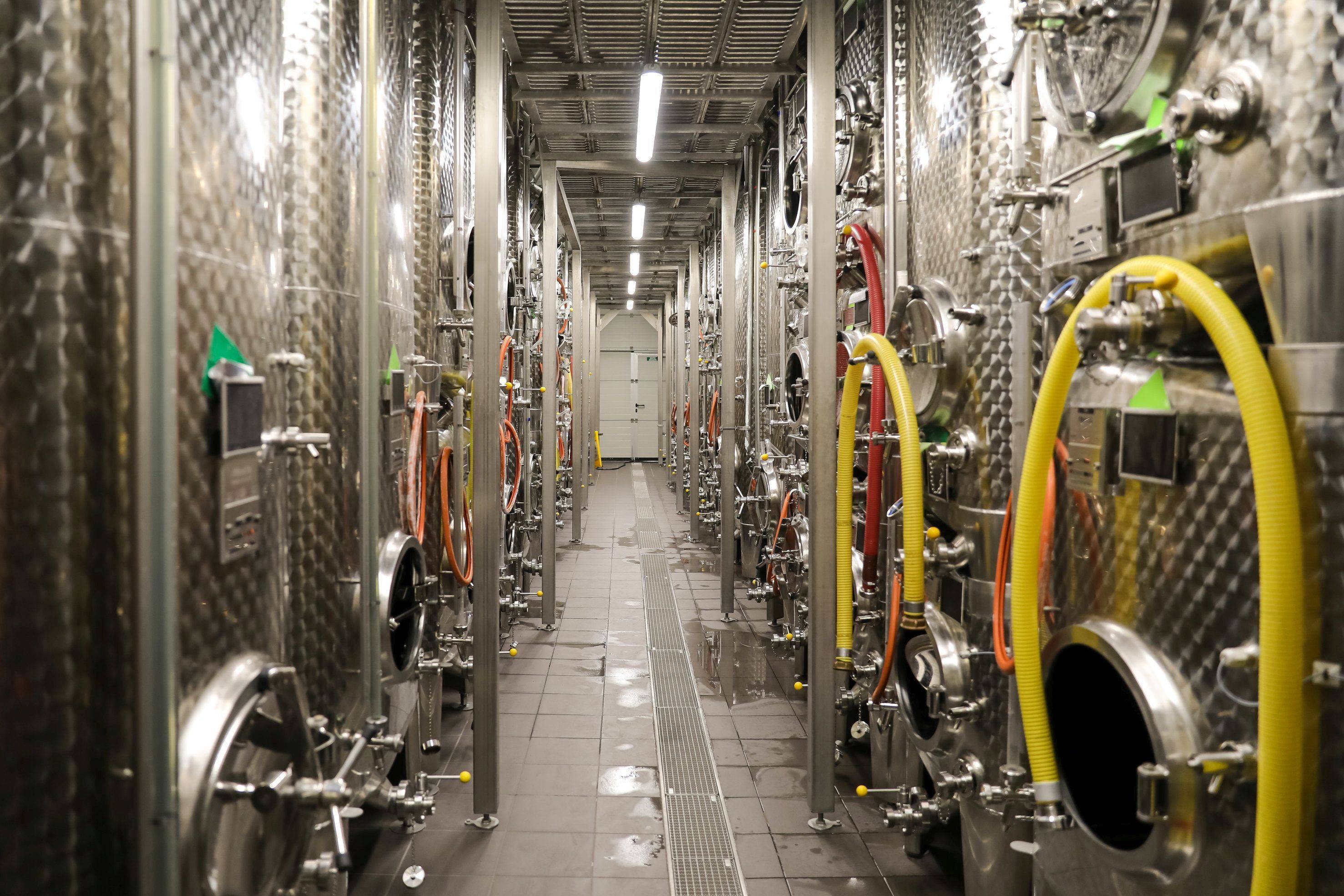 Cellar visit, tasting of 5 wines, pretzel