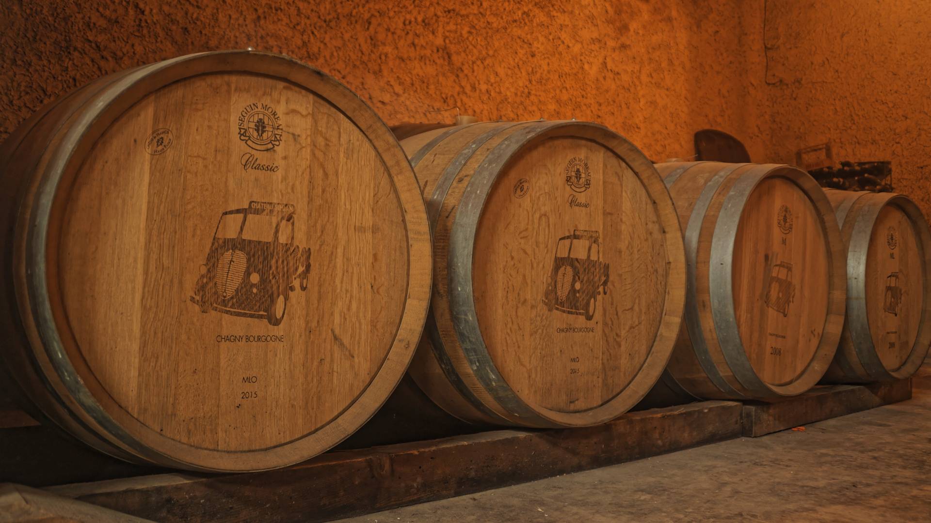 Cellar visit and tasting of 4 wines