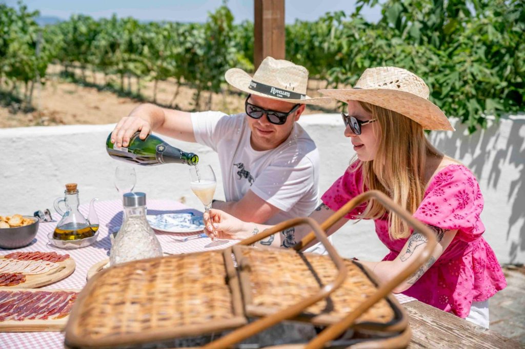 Breakfast among vineyards, visit and tasting