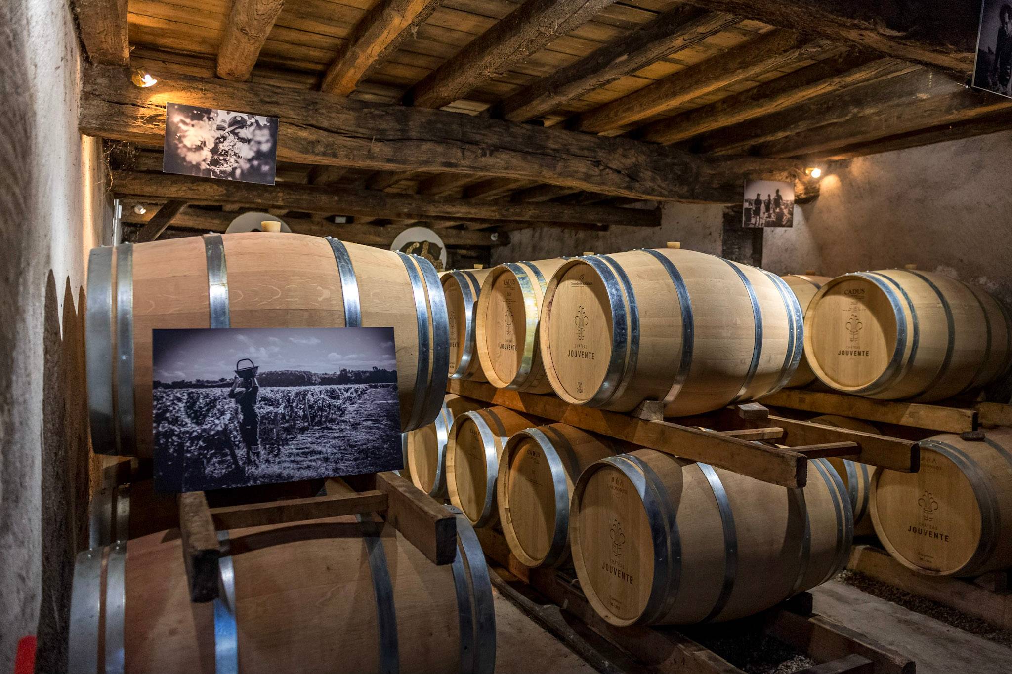 Transmission: Technical visit and tasting