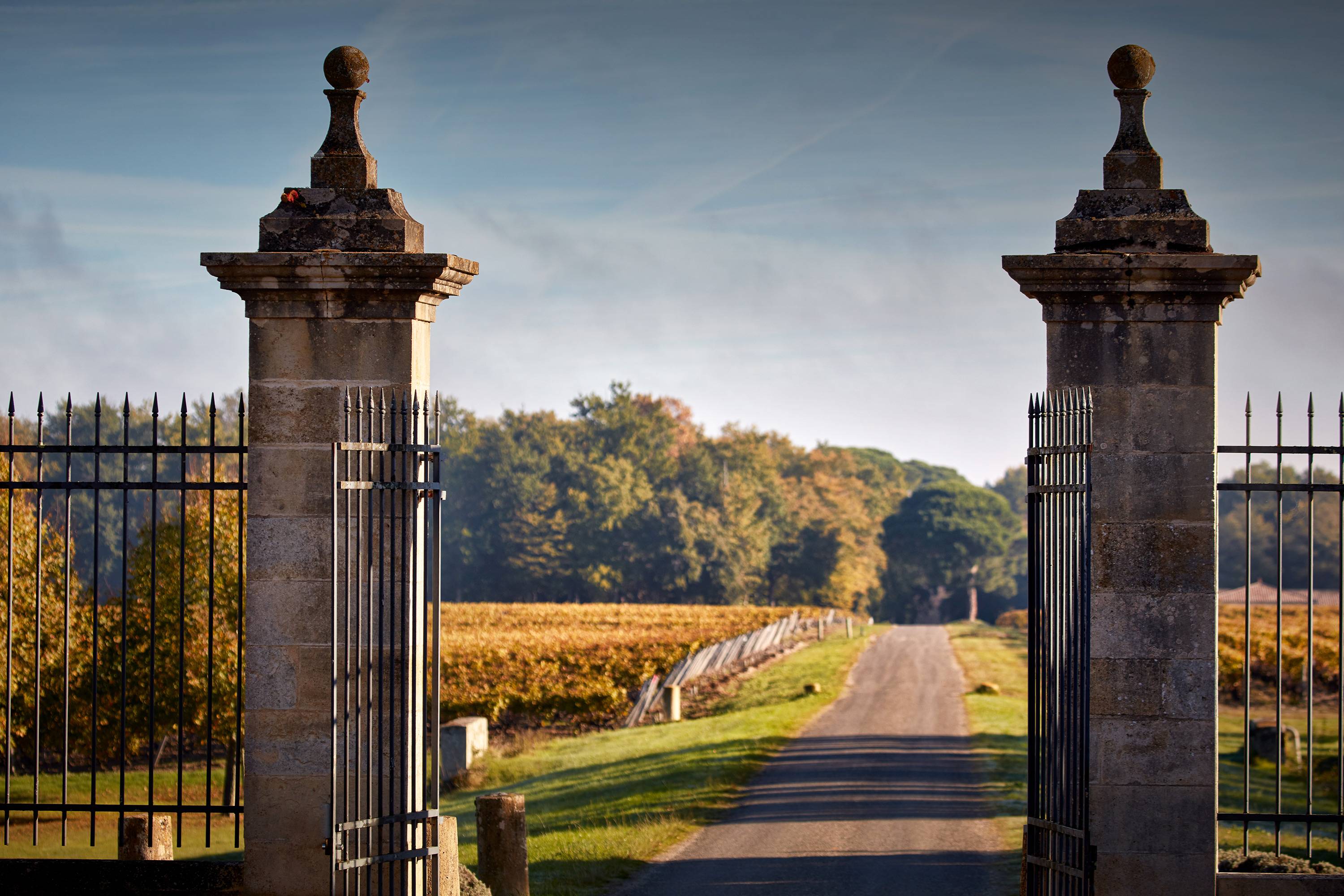 Discover a Premier Cru Classé of Sauternes