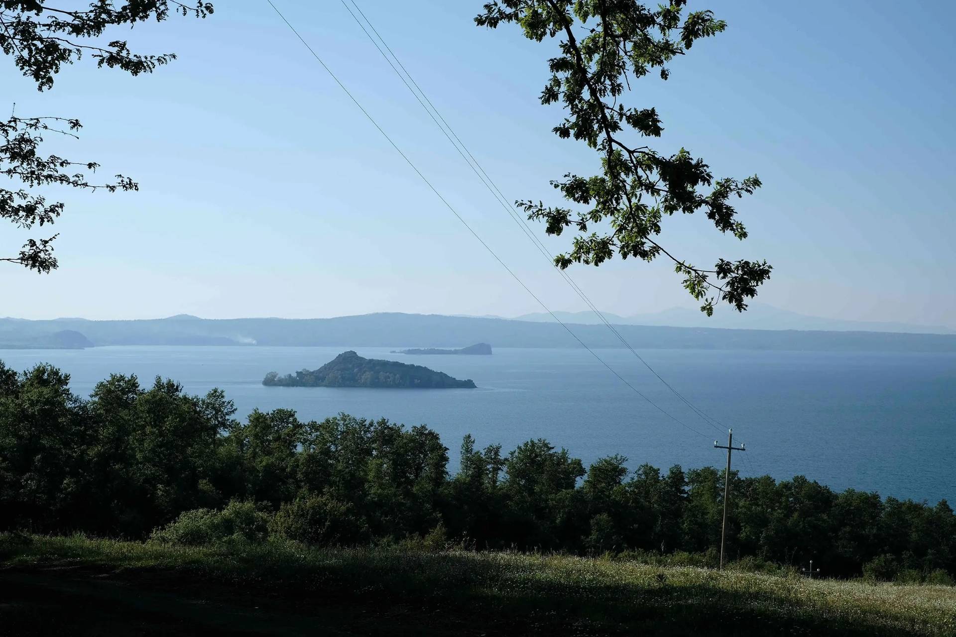 Volcanic wines, terroir of Lake Bolsena