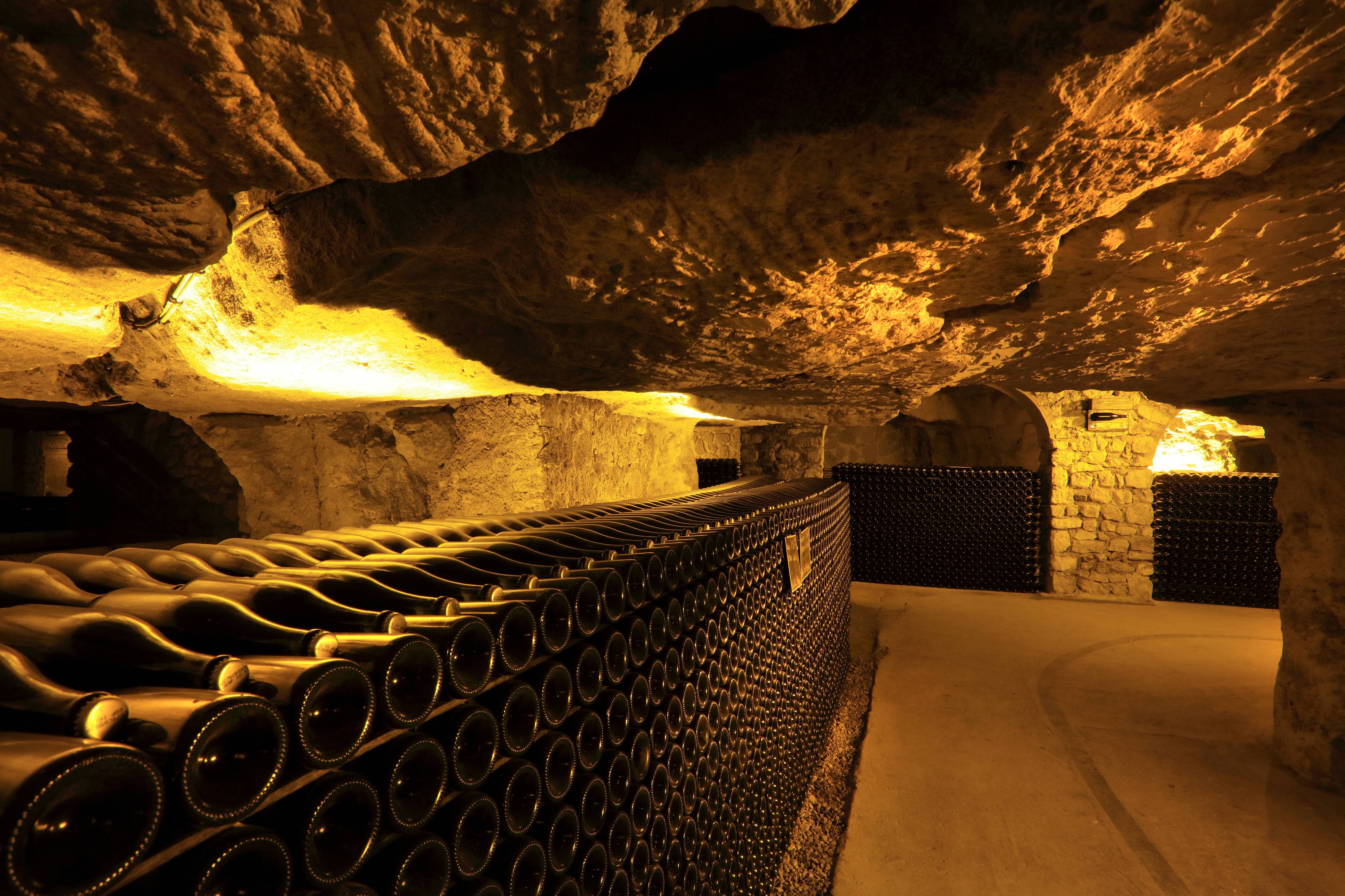 Visit and tasting of 2 cuvees