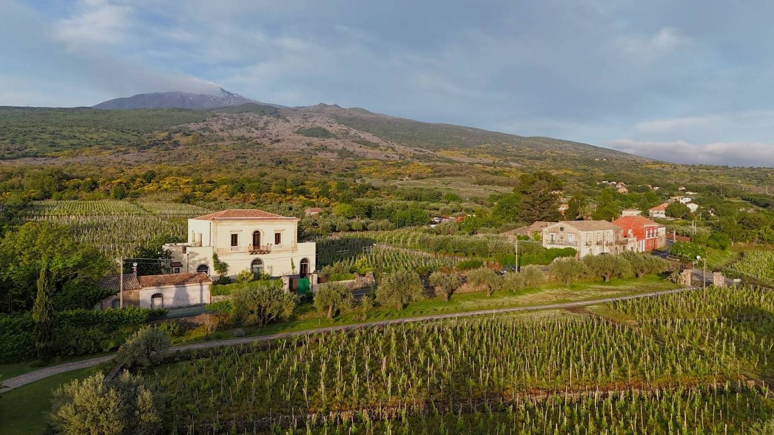 Tasting & Historical Vineyard Visit