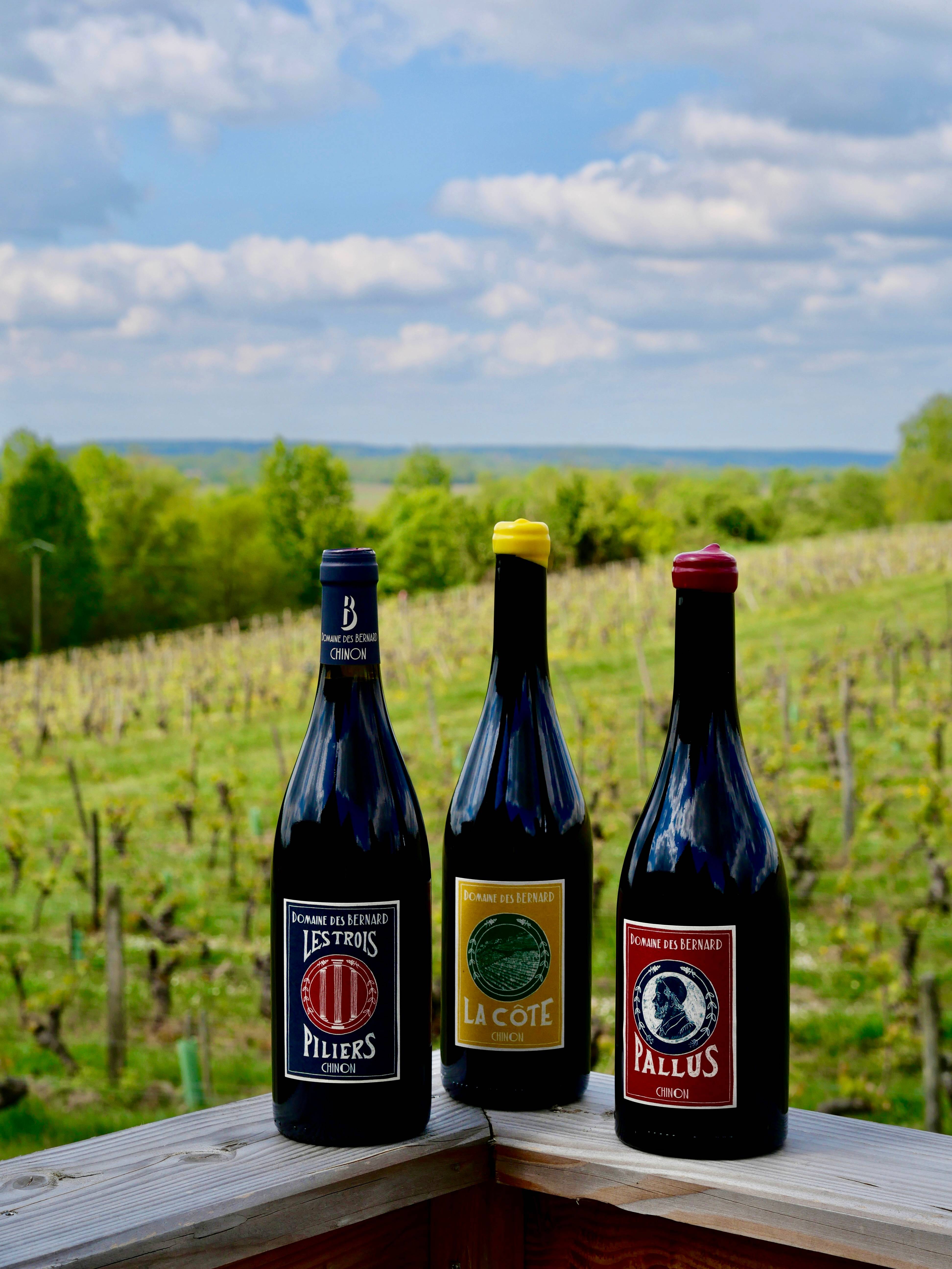 Tasting at Domaine des Bernard