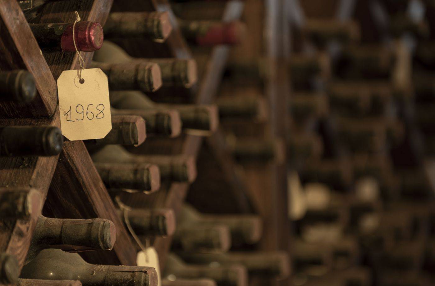 Tasting and cheese pairing