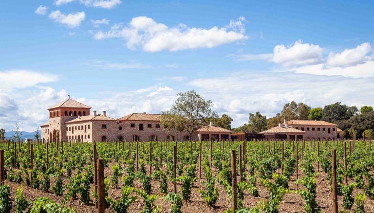 Premium Vineyard Visit + Perelada Winery Visit