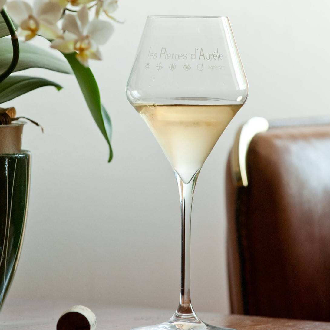 Visit of an estate in Touraine