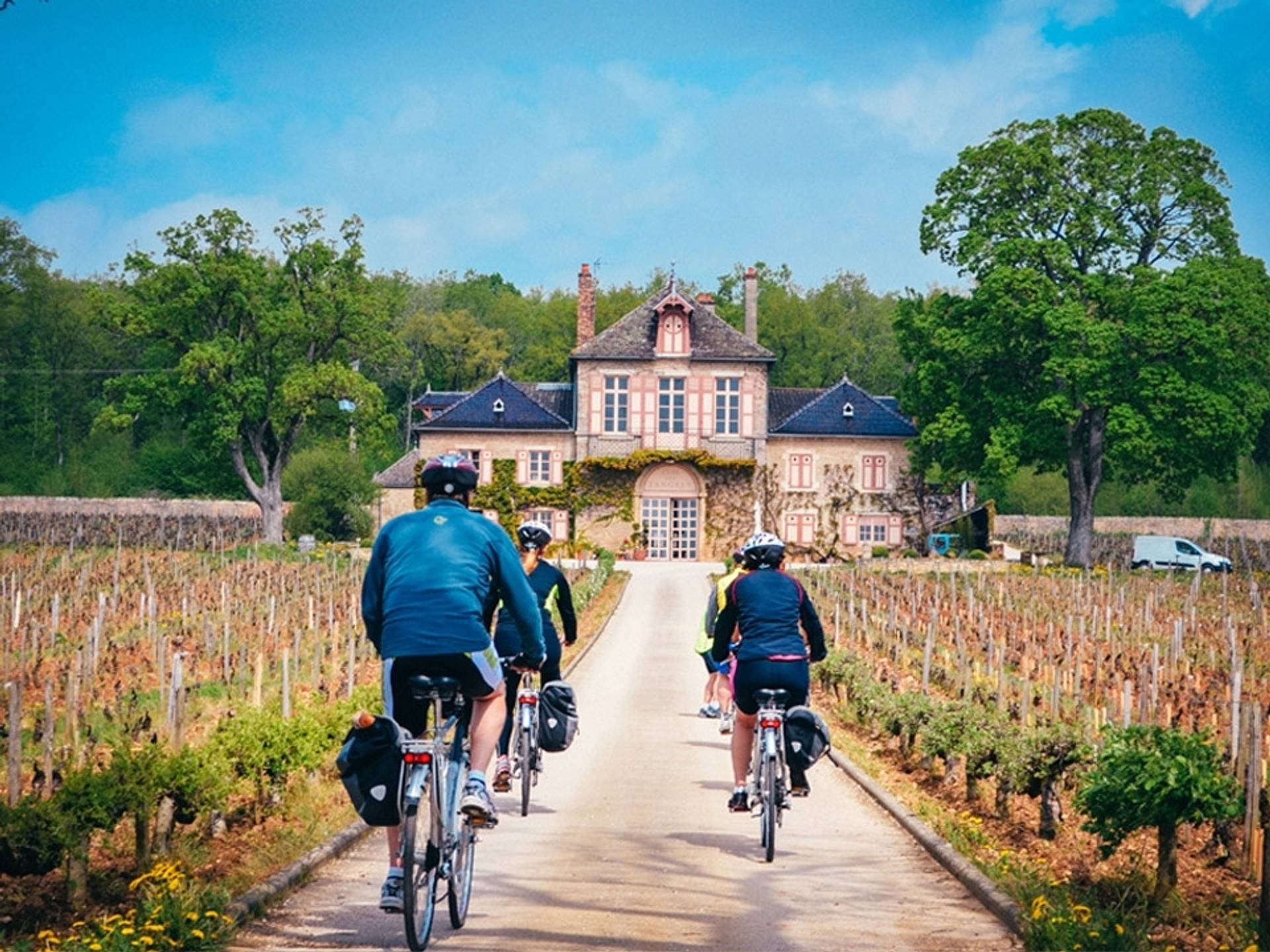 One day bike and wine tour in Côte de Beaune