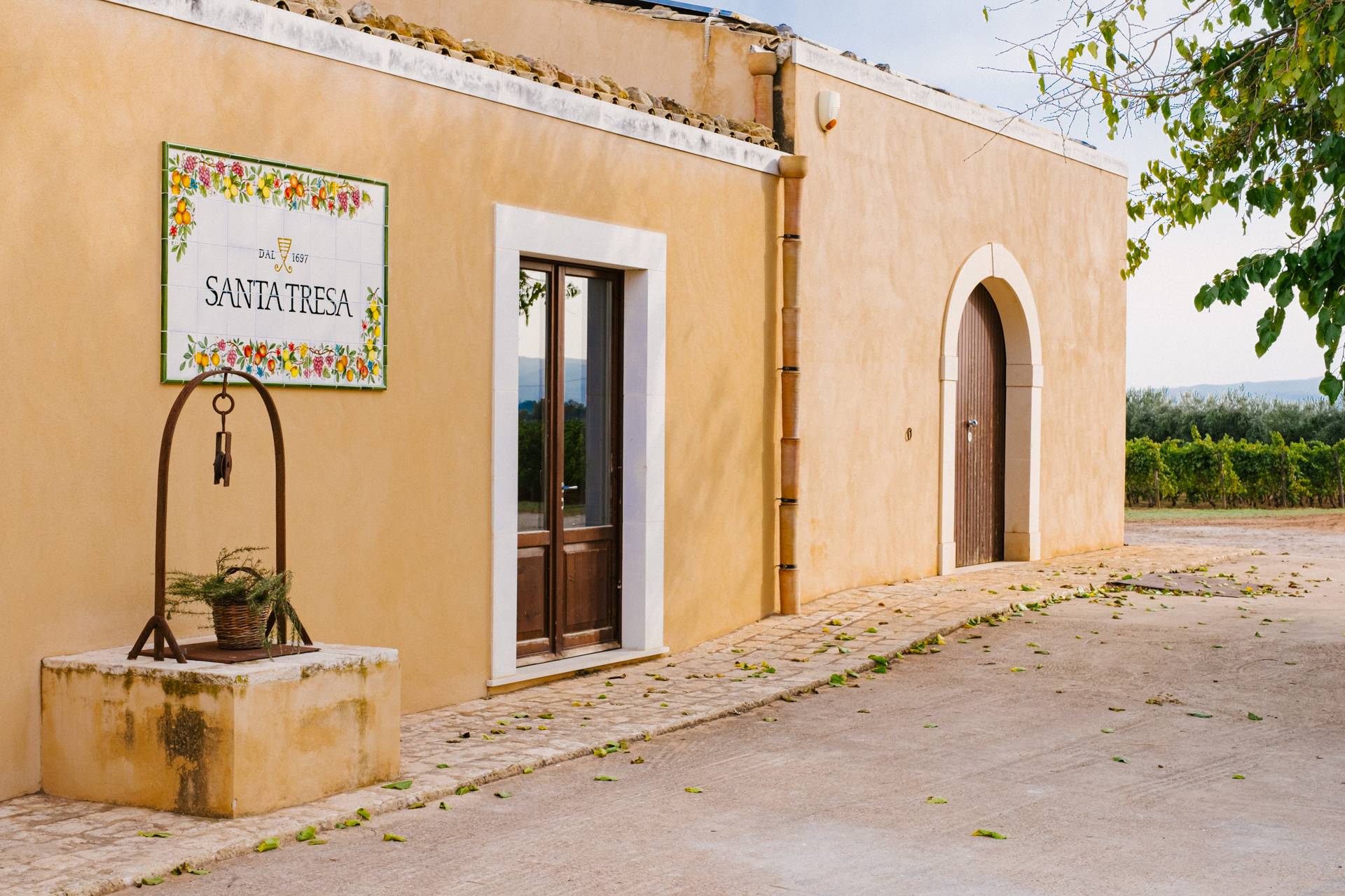 Discovering Vittoria