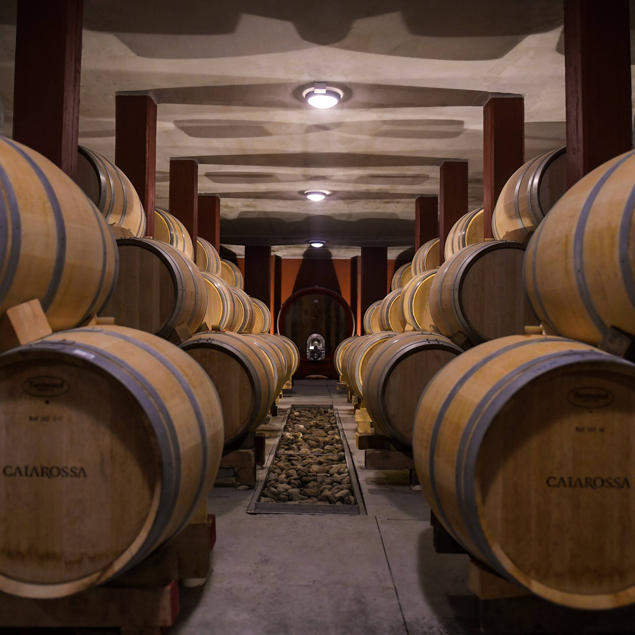 Discovering Caiarossa