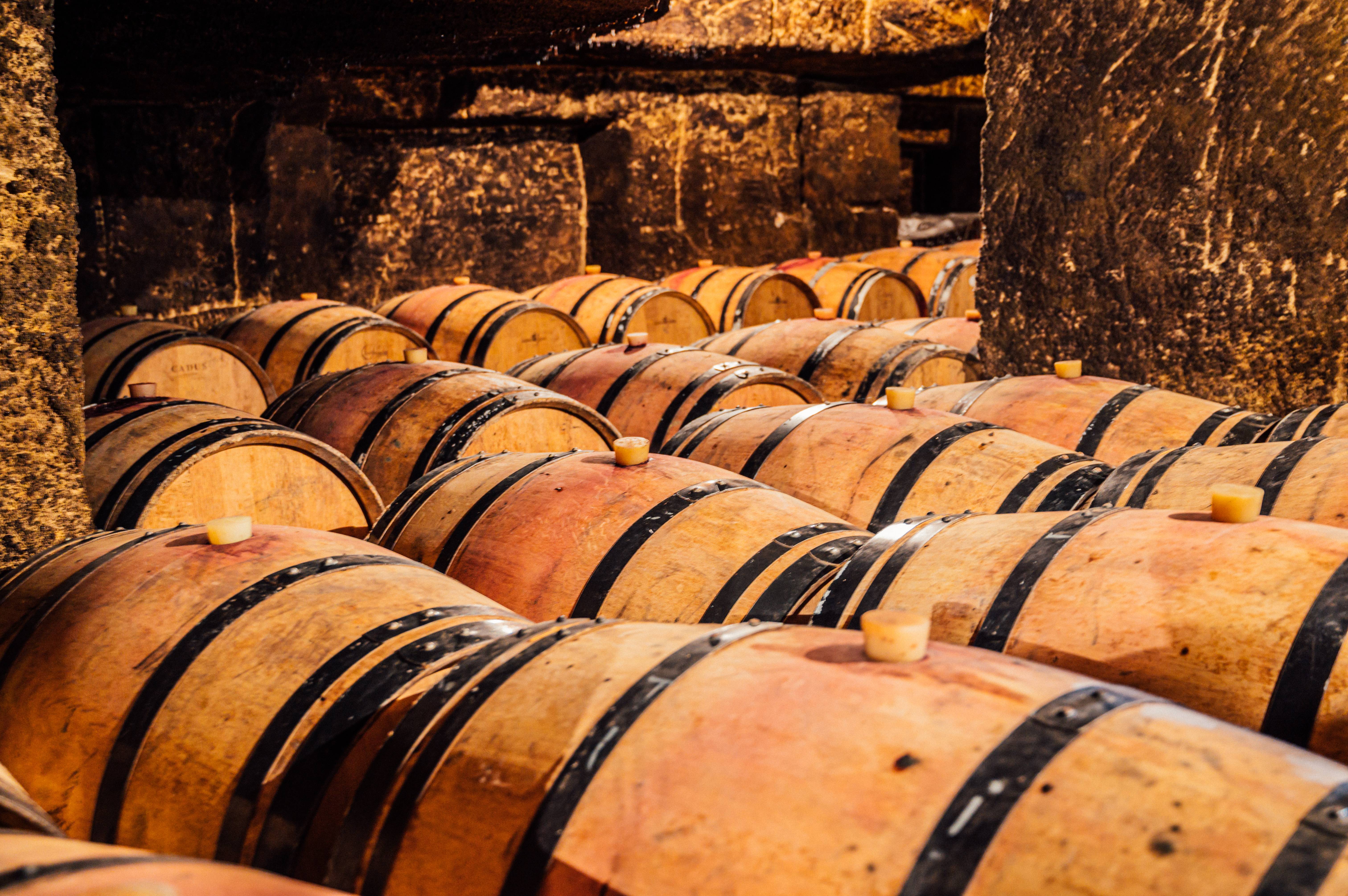 Gourmet tour with food and wine pairings