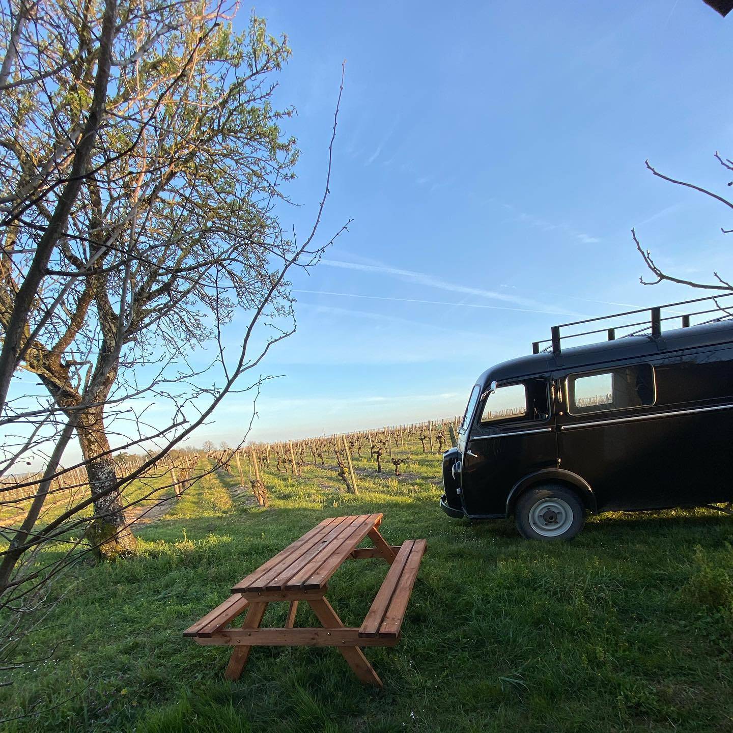 Visit/Tasting/Picnic in the vineyards