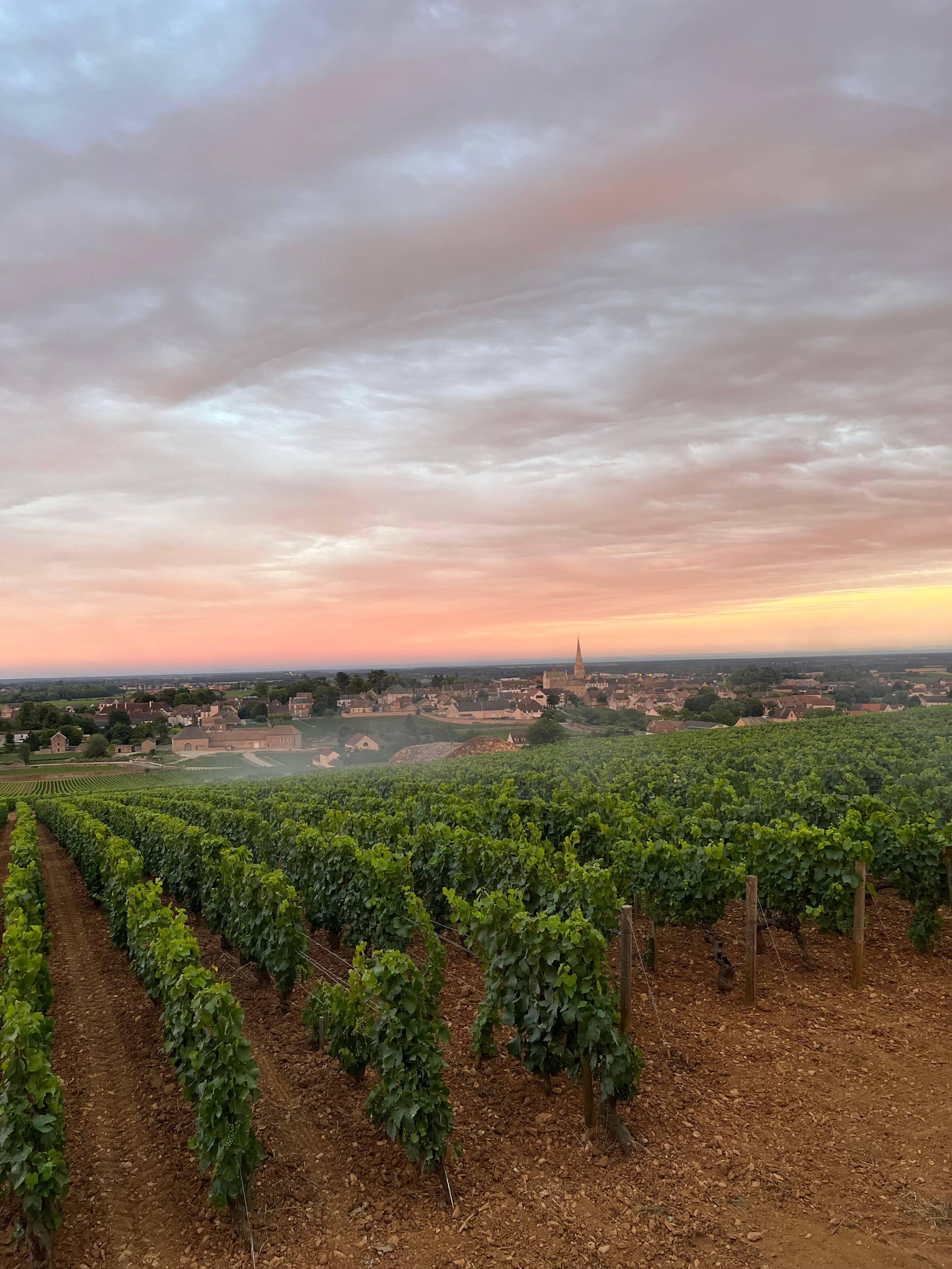 Dijon – Côte de Nuits Wine Tour with Tasting