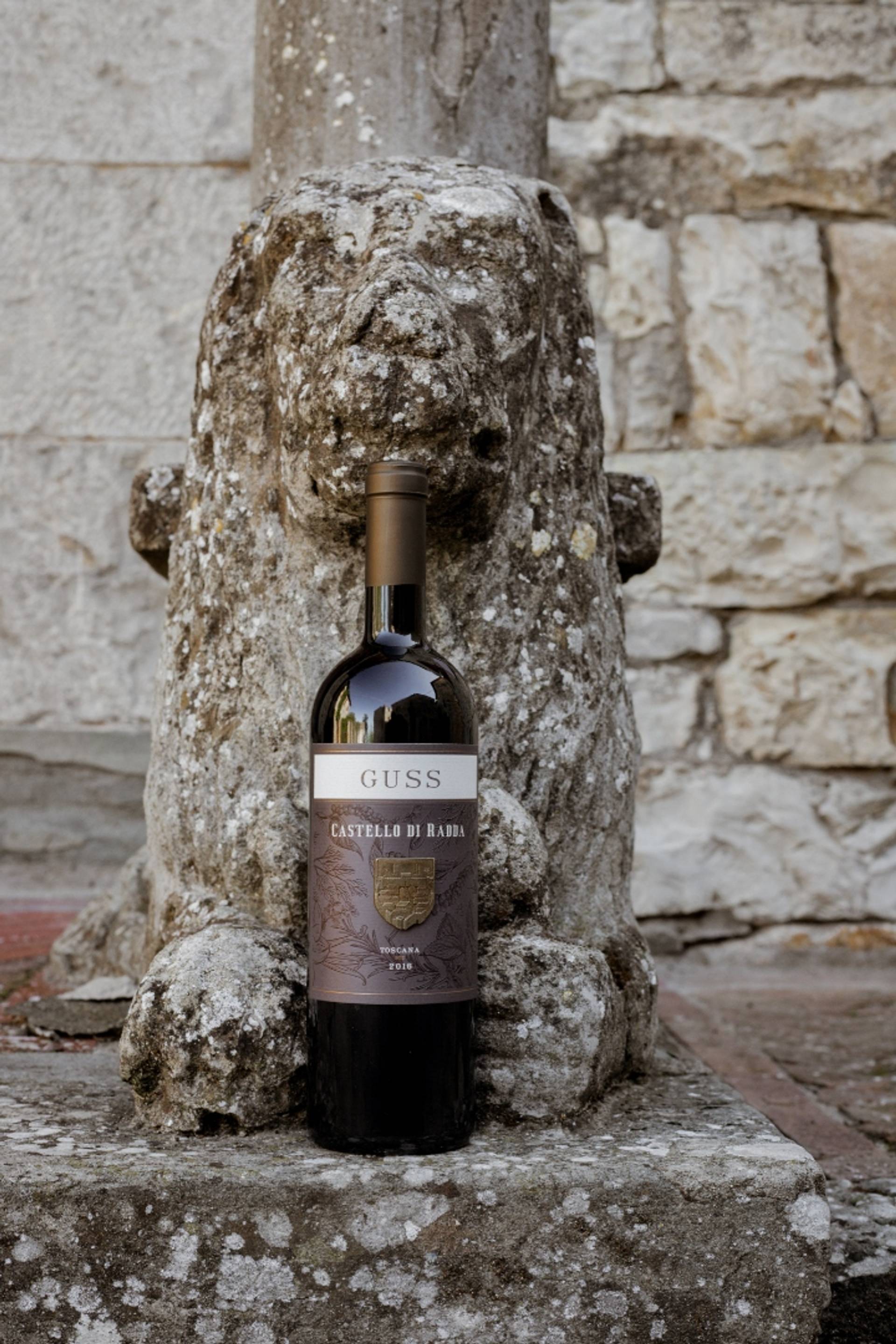 Castello di Radda finest wines tasting