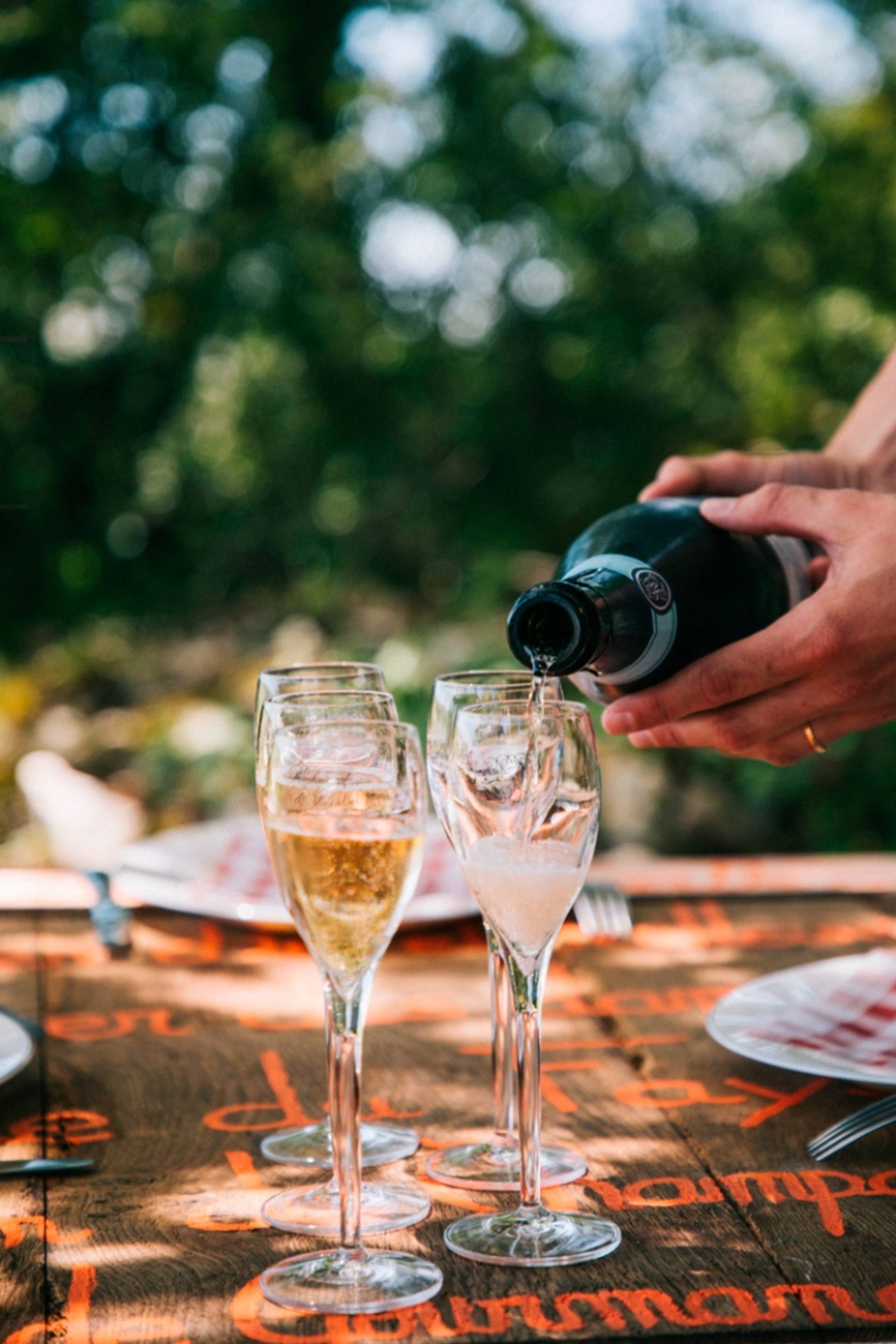 Taste the king of wines!