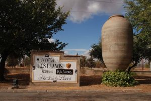 BODEGAS LOS LLANOS