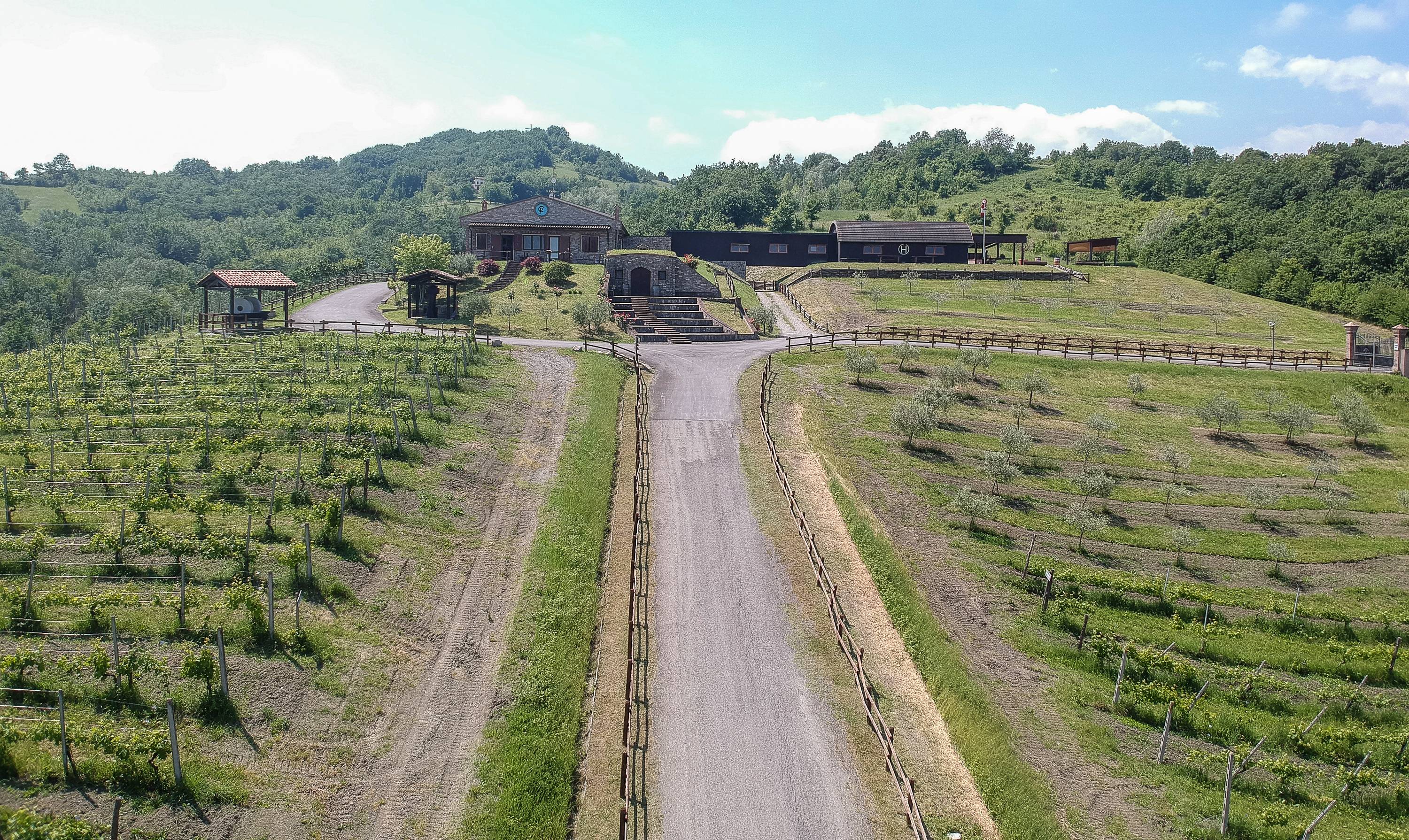 Cultural tasting of the wines of the Cellar