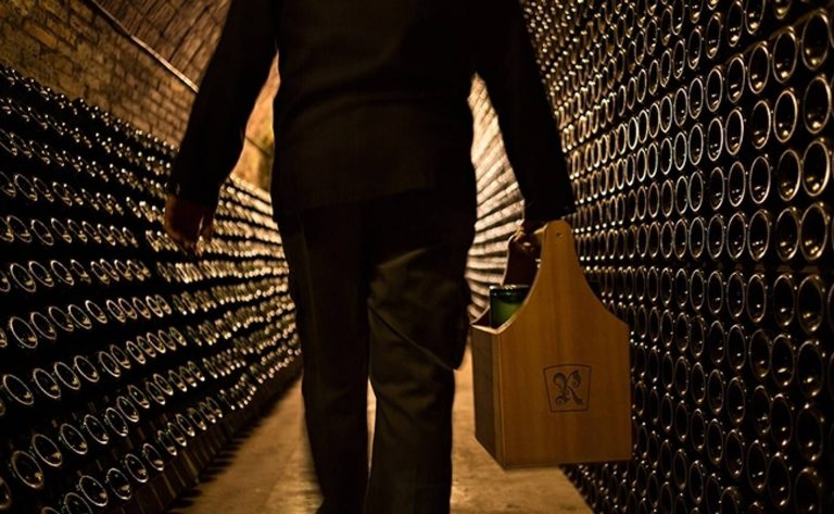 Journey to the origins