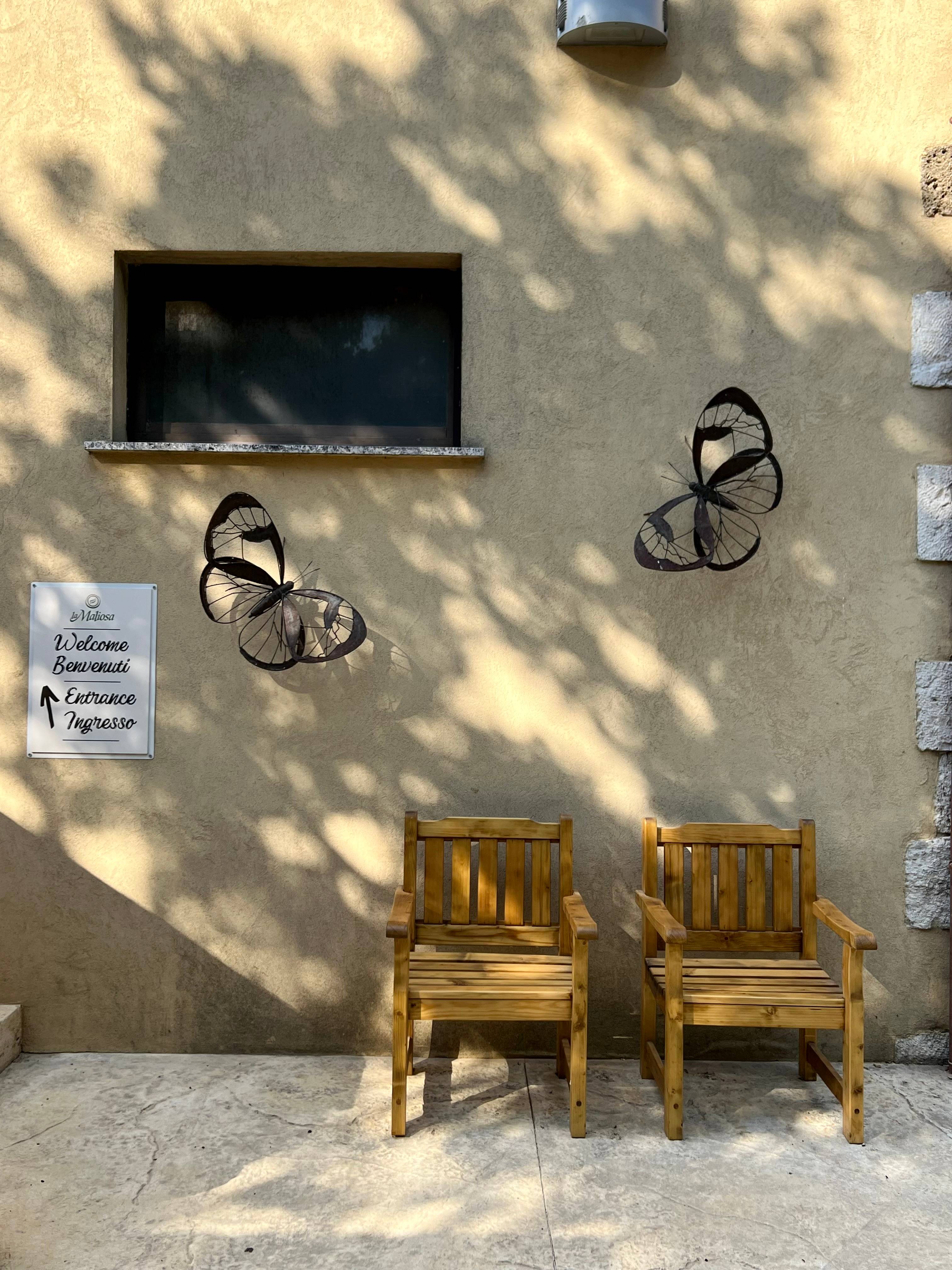 La Maliosa Farm Experience & Wine Tasting