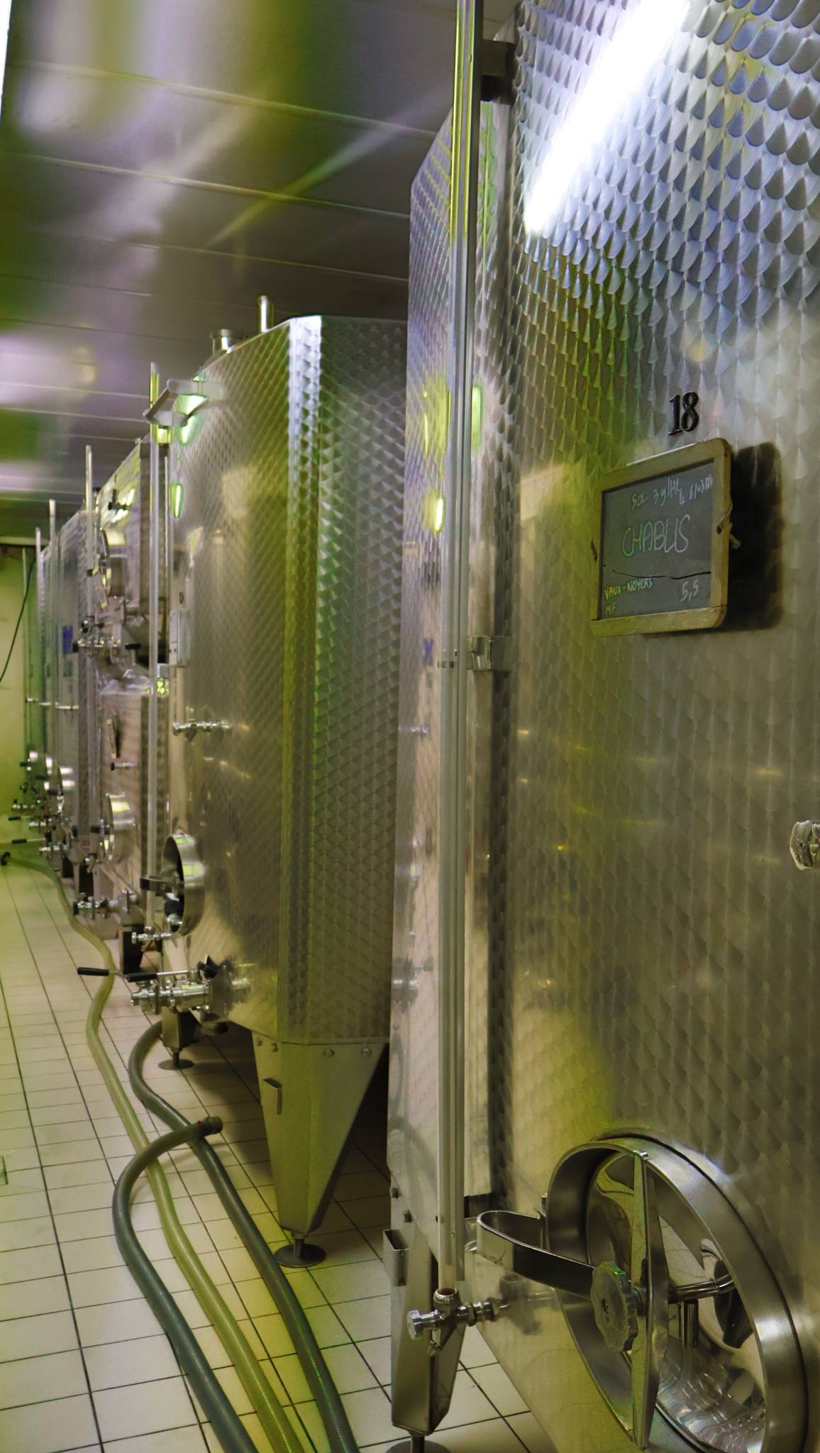 Visit and tasting of the family wine estate