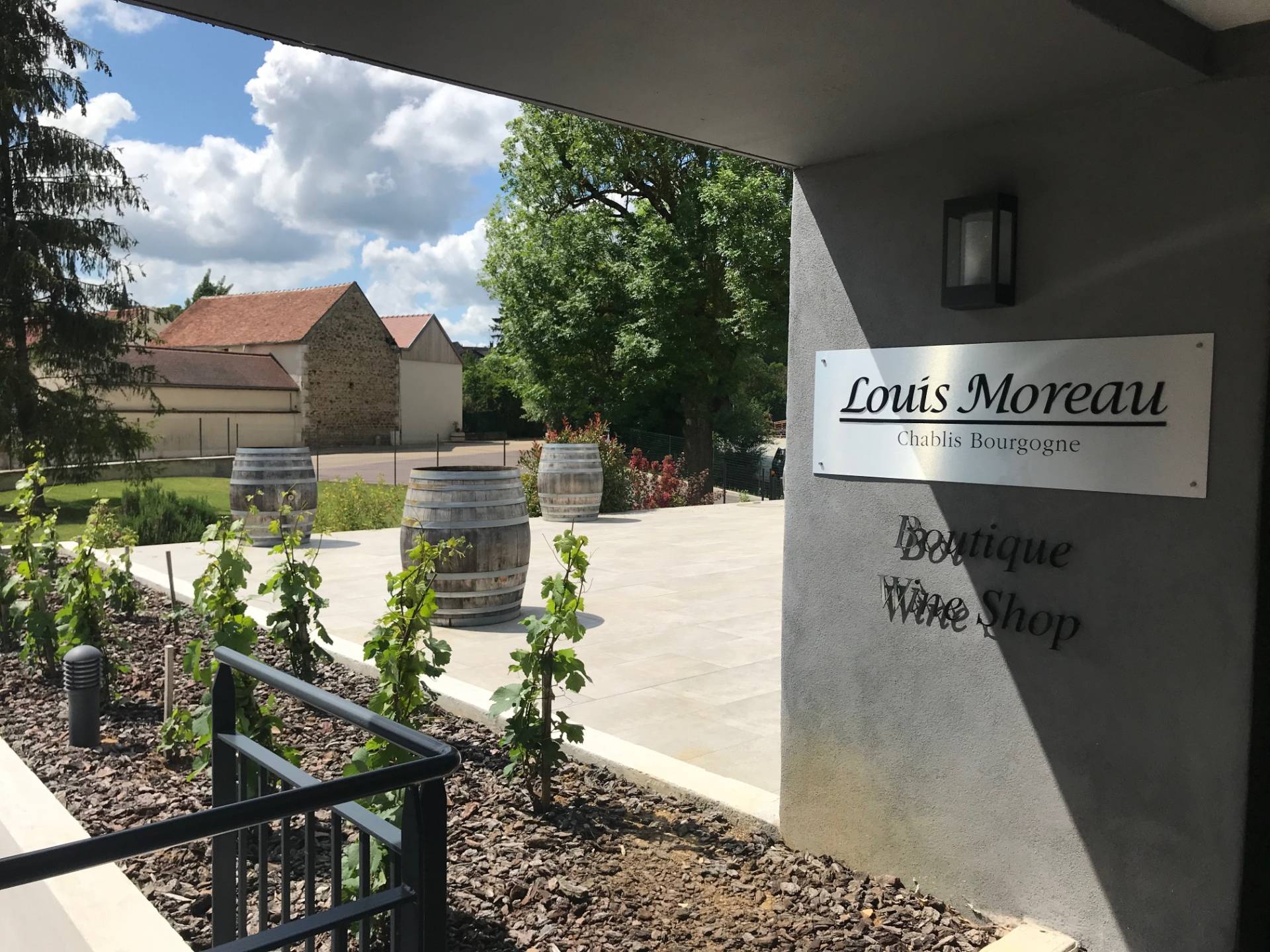 DOMAINE LOUIS MOREAU