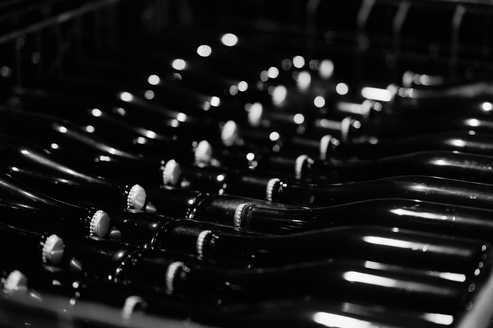 The Experience – Visit & Tasting