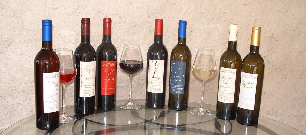 Tasting of 7 wines with food pairings: charcuterie, cheese and chocolate