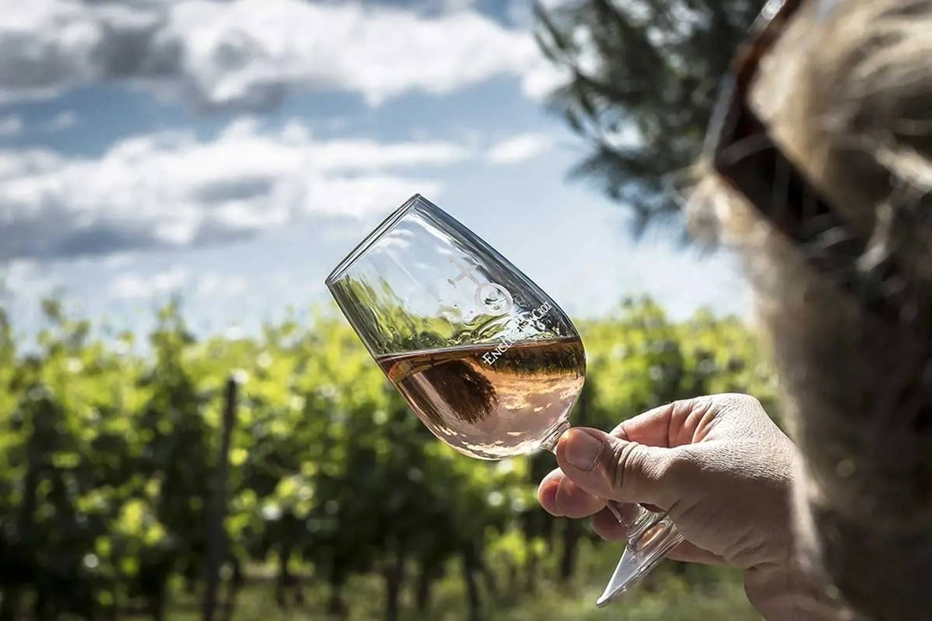 Visit to the estate & wine tasting