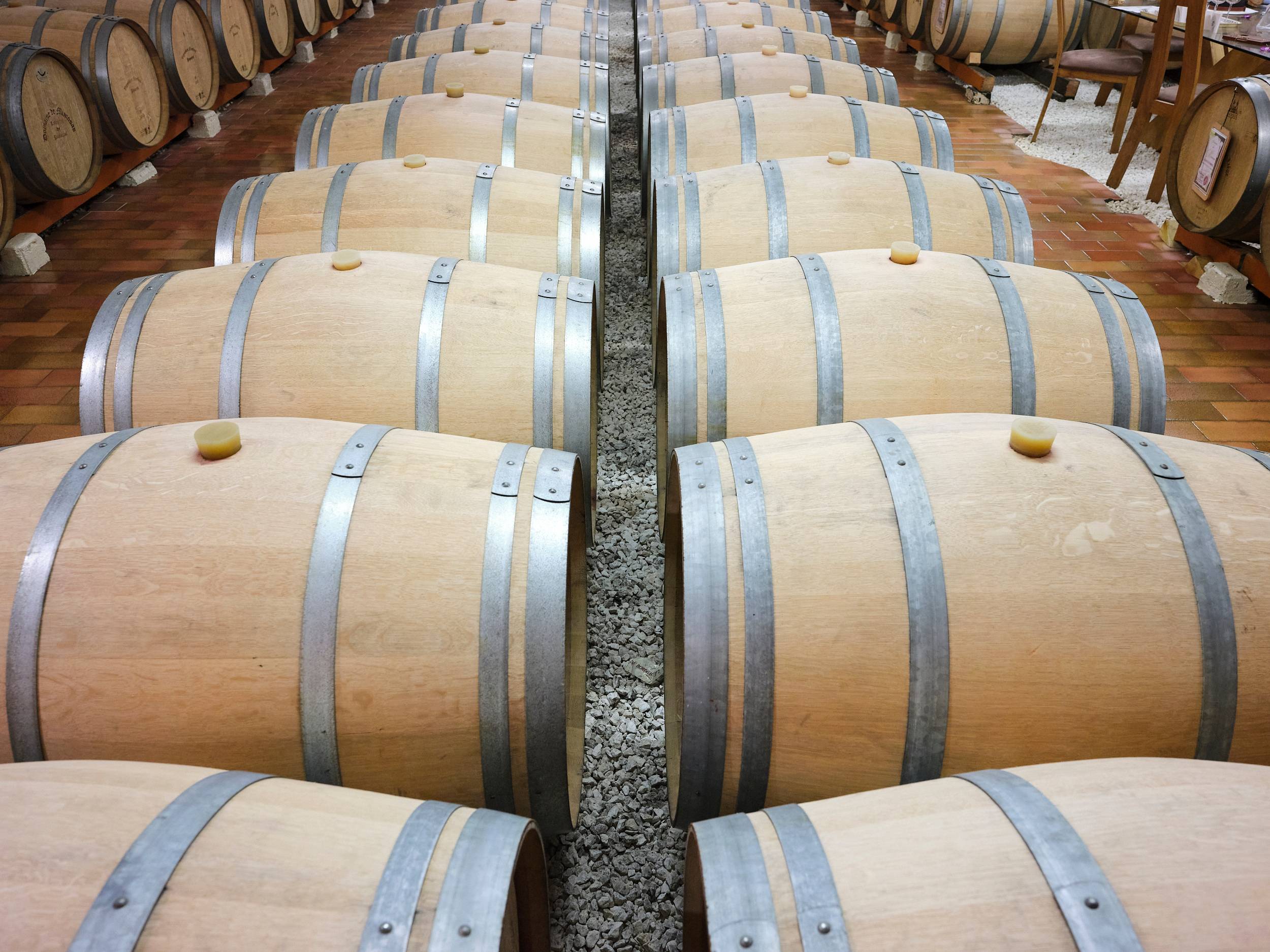 Workshop: Vegetarian food and wine pairing